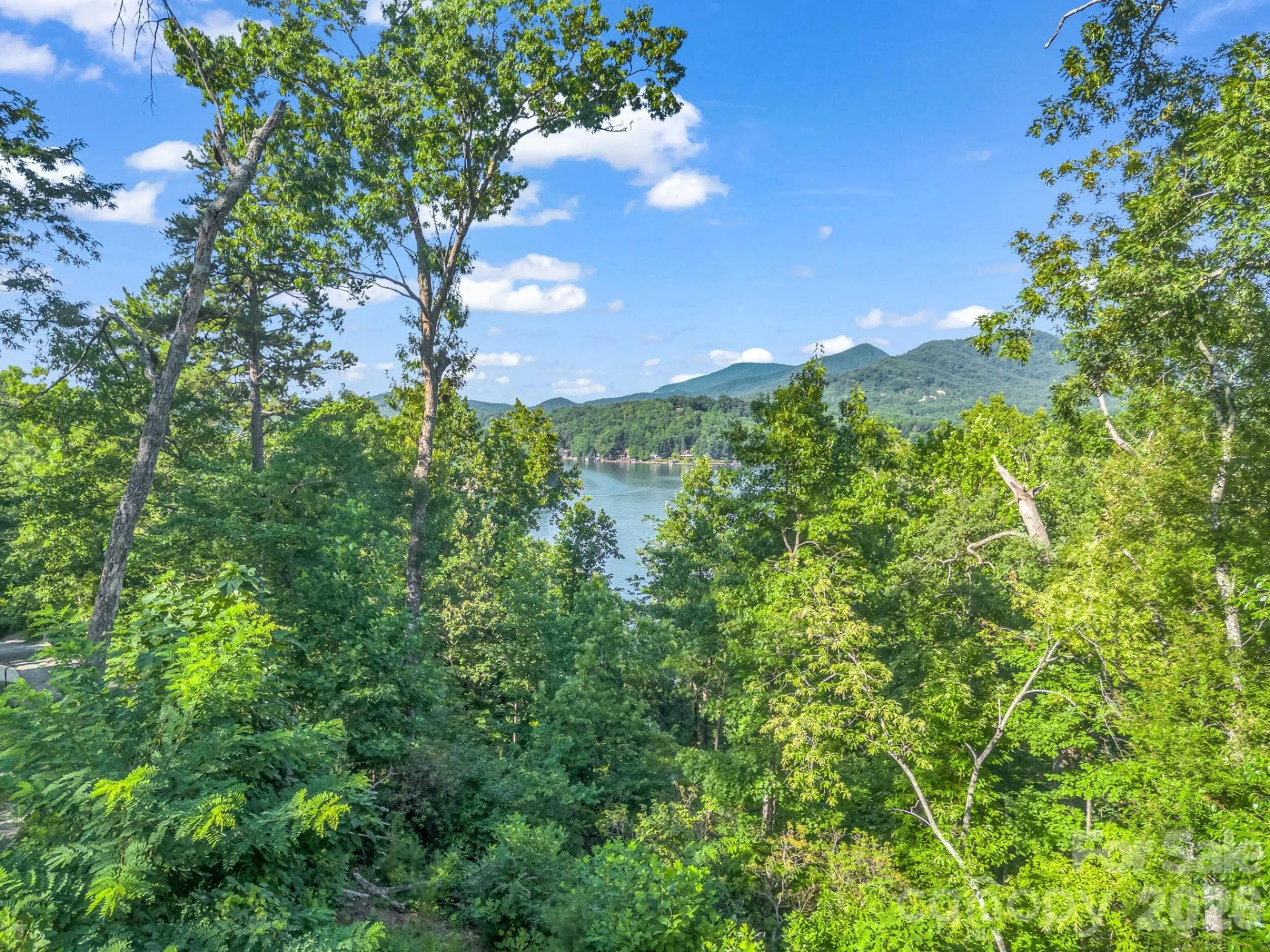 36 Pierpoint Drive - Photo 6