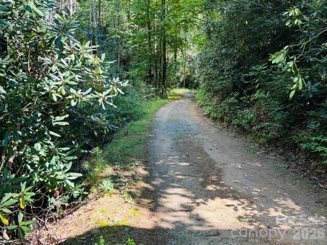 TBD Jane Lane - Photo 13