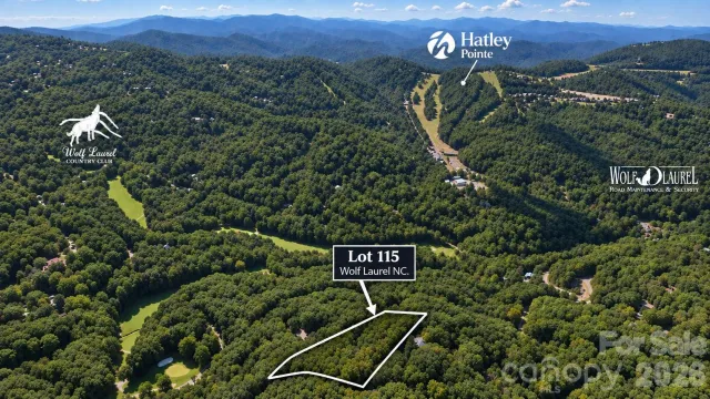 LOT 115 Sugar Tree Lane, Mars Hill, NC, 28754