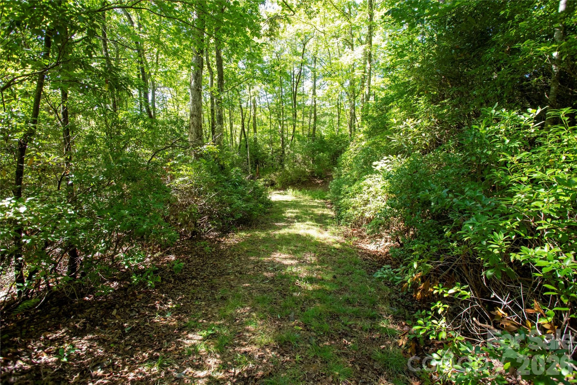 147 Hummingbird Hollow - Photo 3