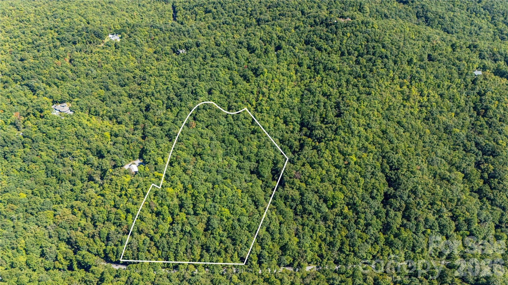 147 Hummingbird Hollow - Photo 4
