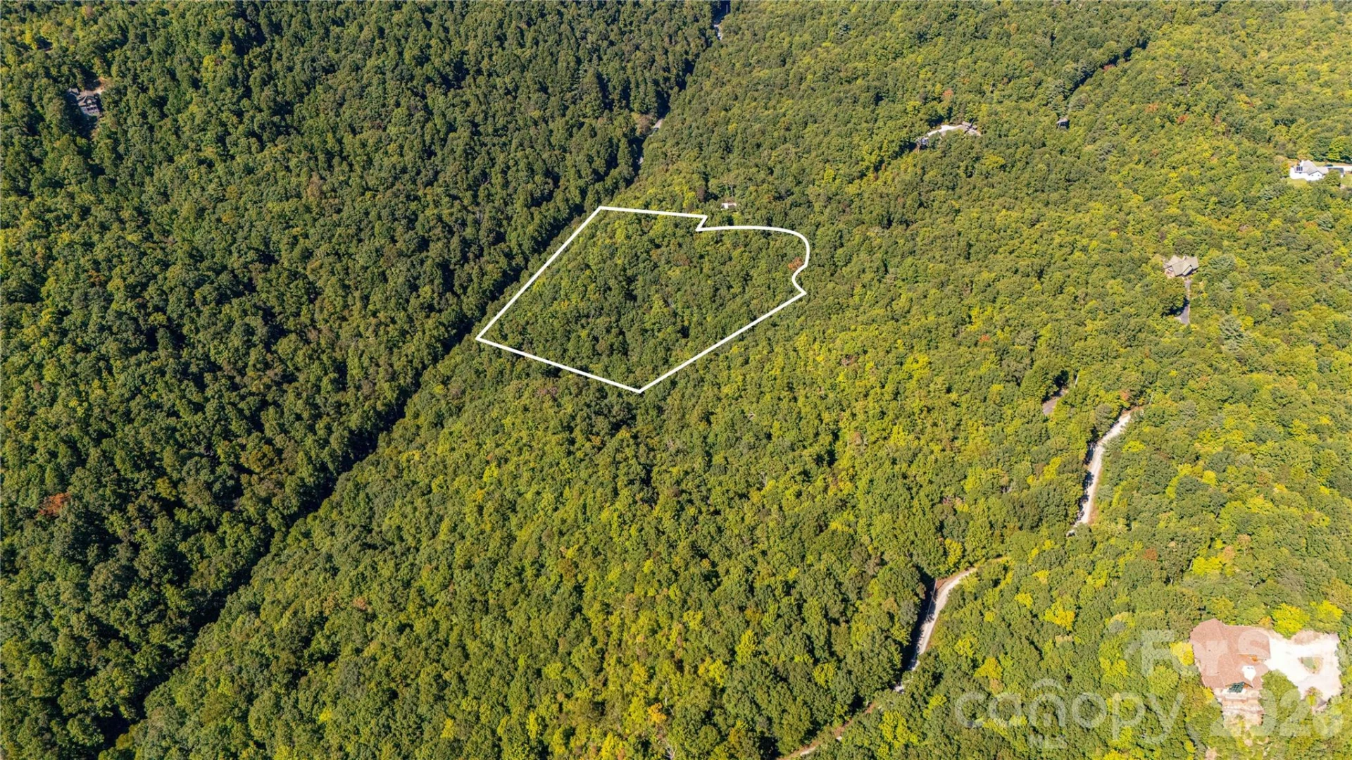 147 Hummingbird Hollow - Photo 10