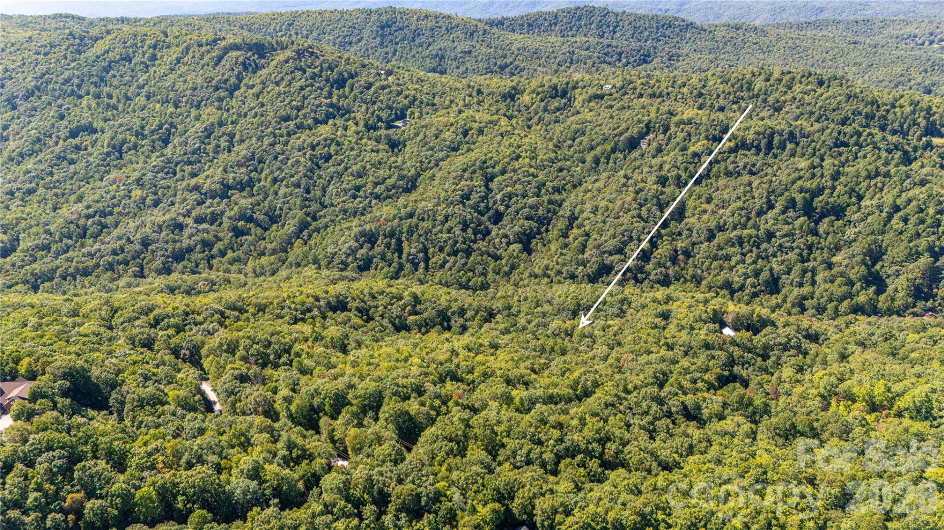 147 Hummingbird Hollow - Photo 12