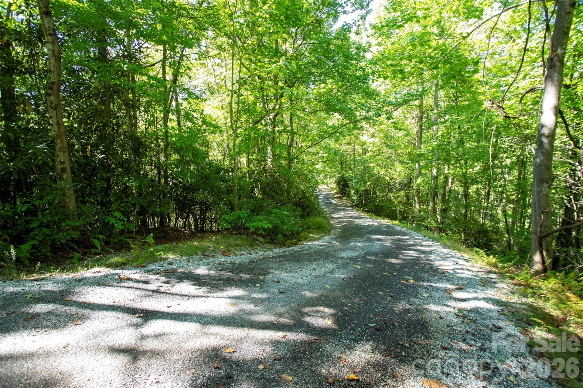 147 Hummingbird Hollow - Photo 14