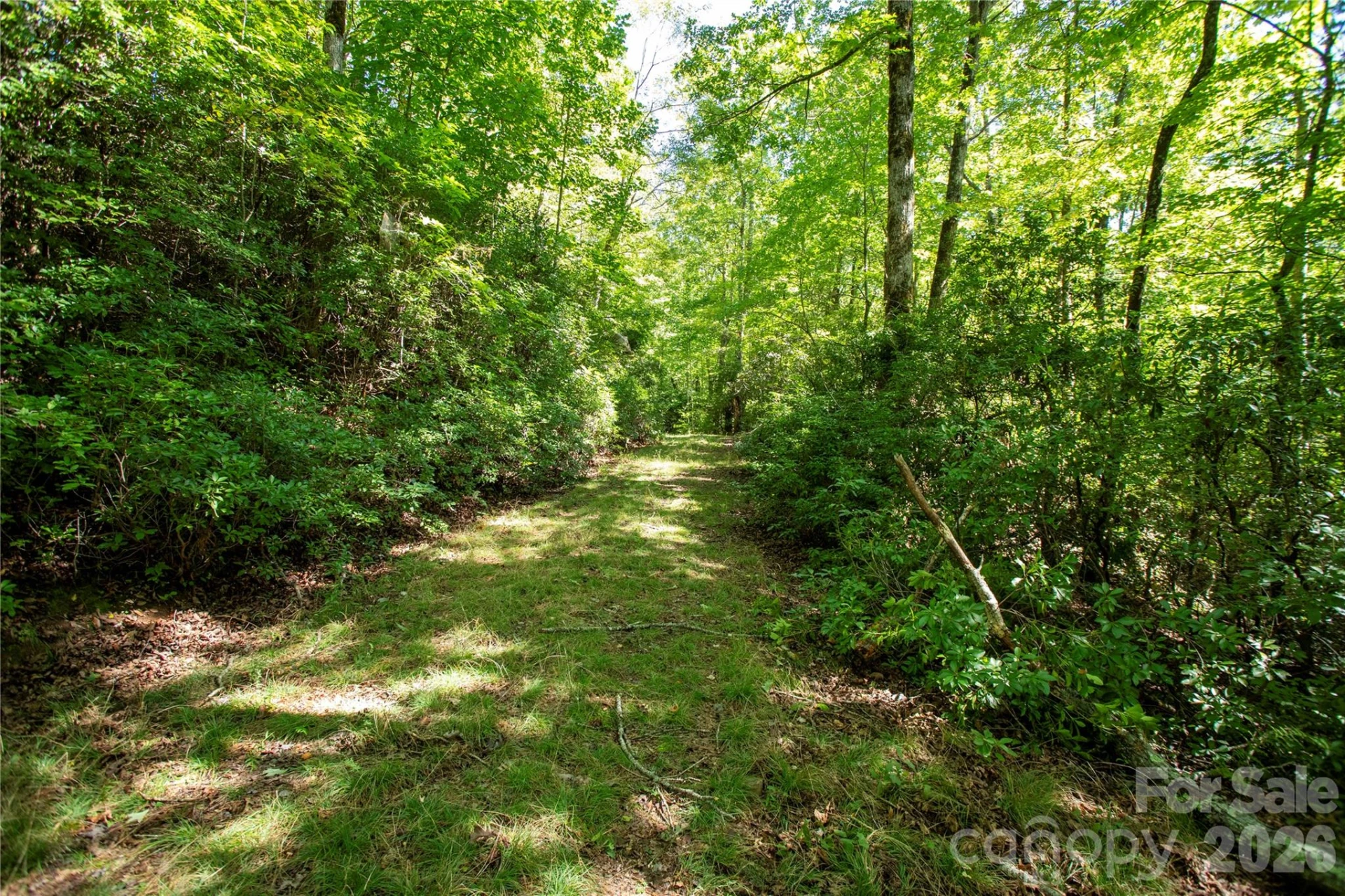 147 Hummingbird Hollow - Photo 15
