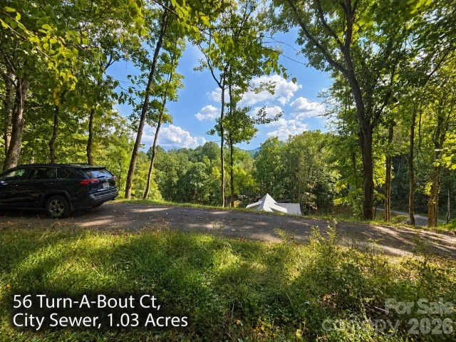 300 Turn-A-Bout Court, Maggie Valley, NC, 28785