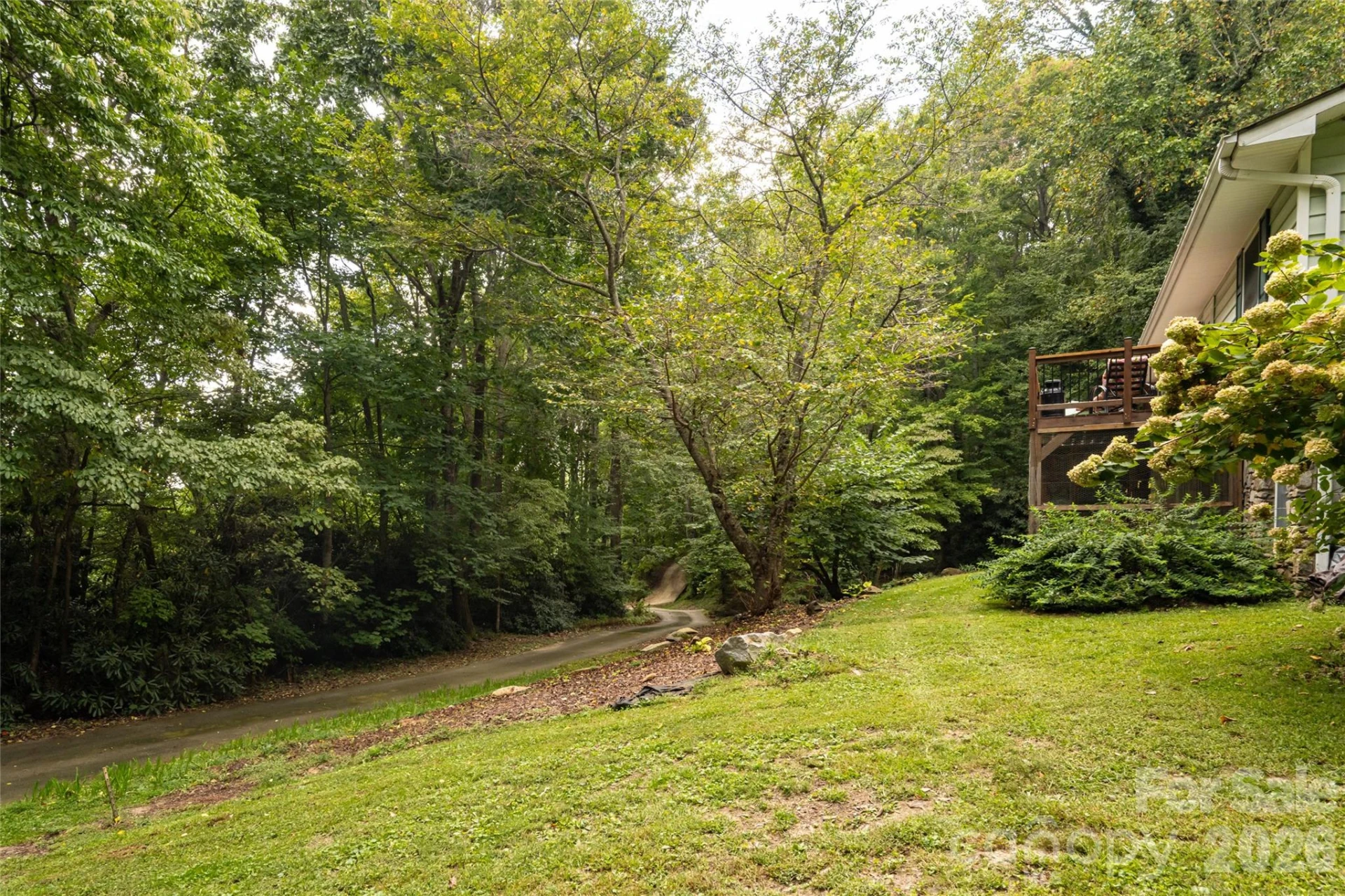 101 Guffey Mountain Road - Photo 46