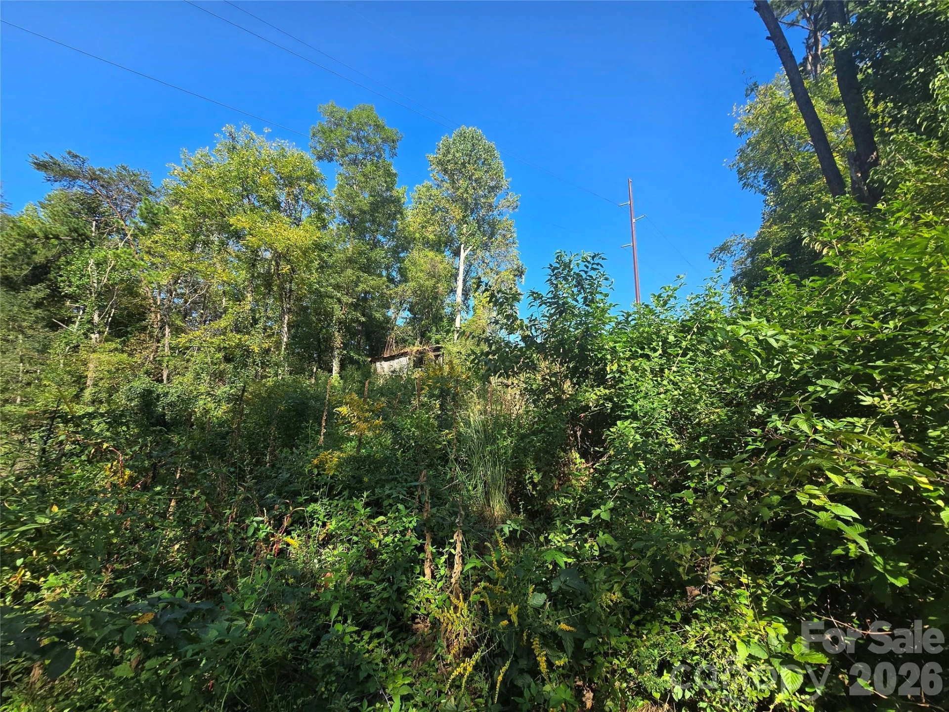 175 River Lane - Photo 12
