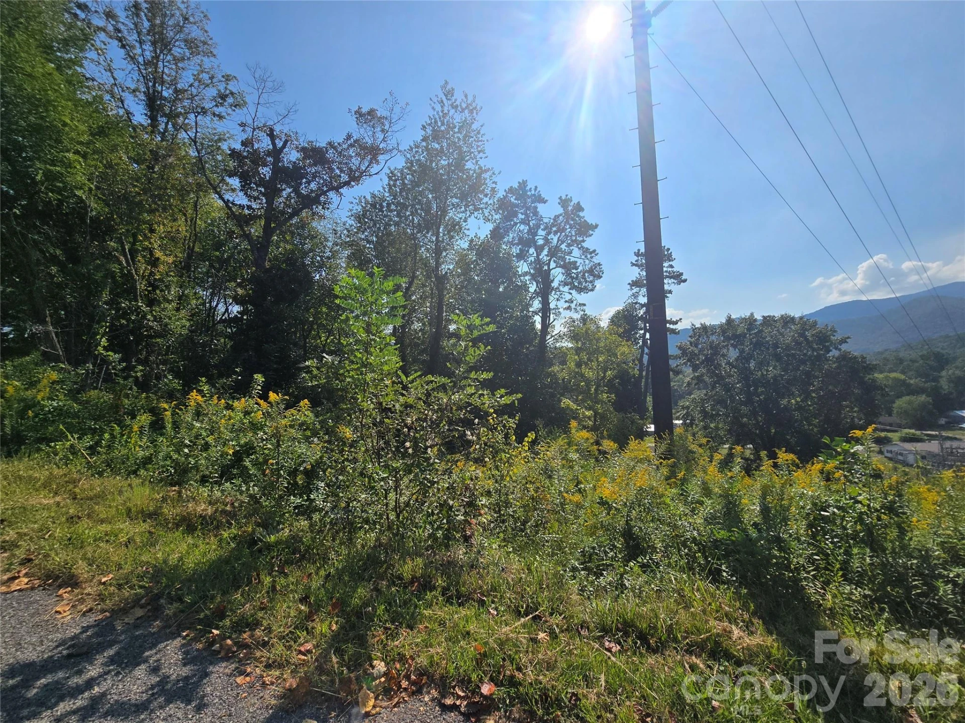 175 River Lane - Photo 14