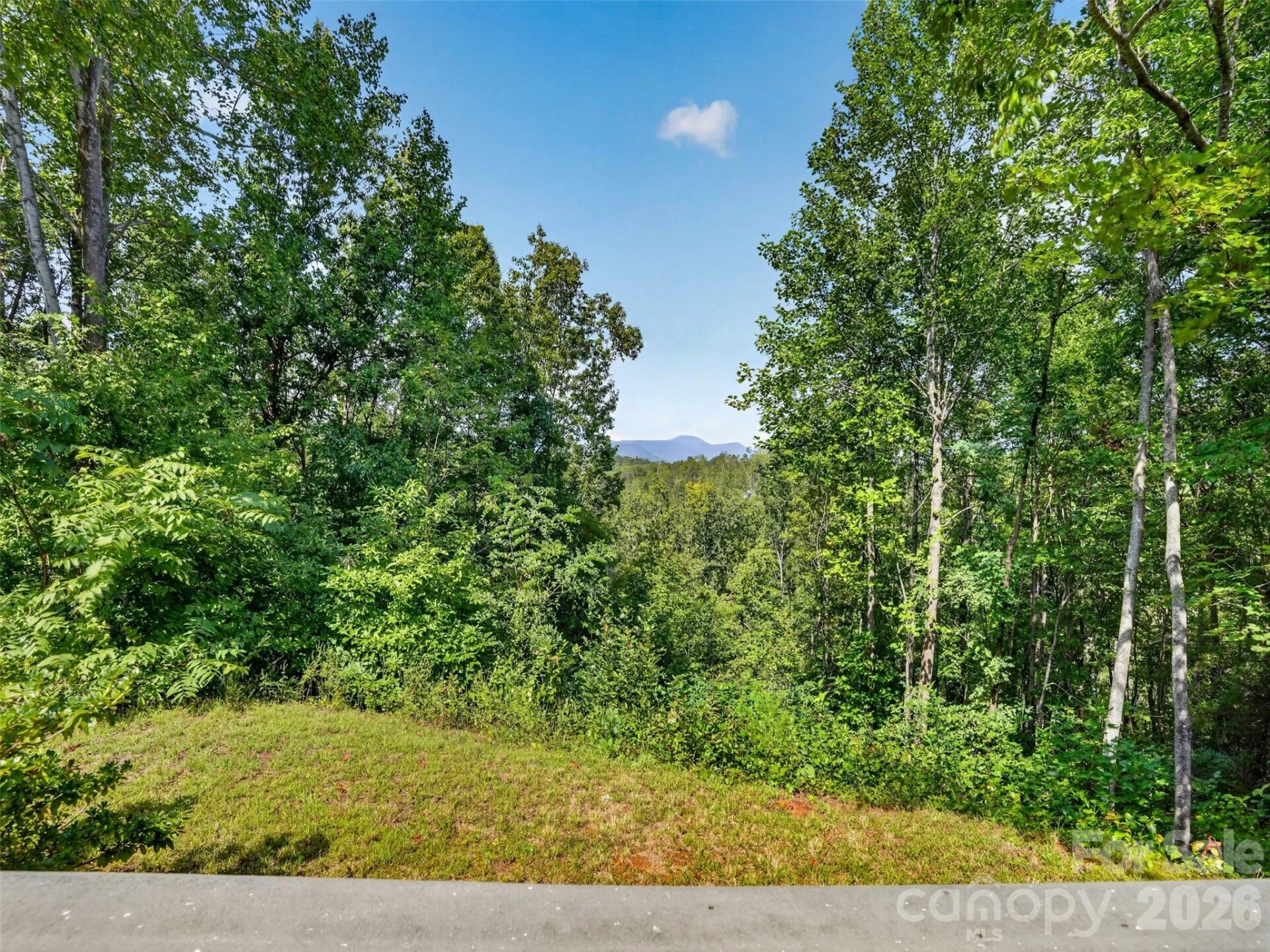 484 Briar Patch Lane - Photo 2