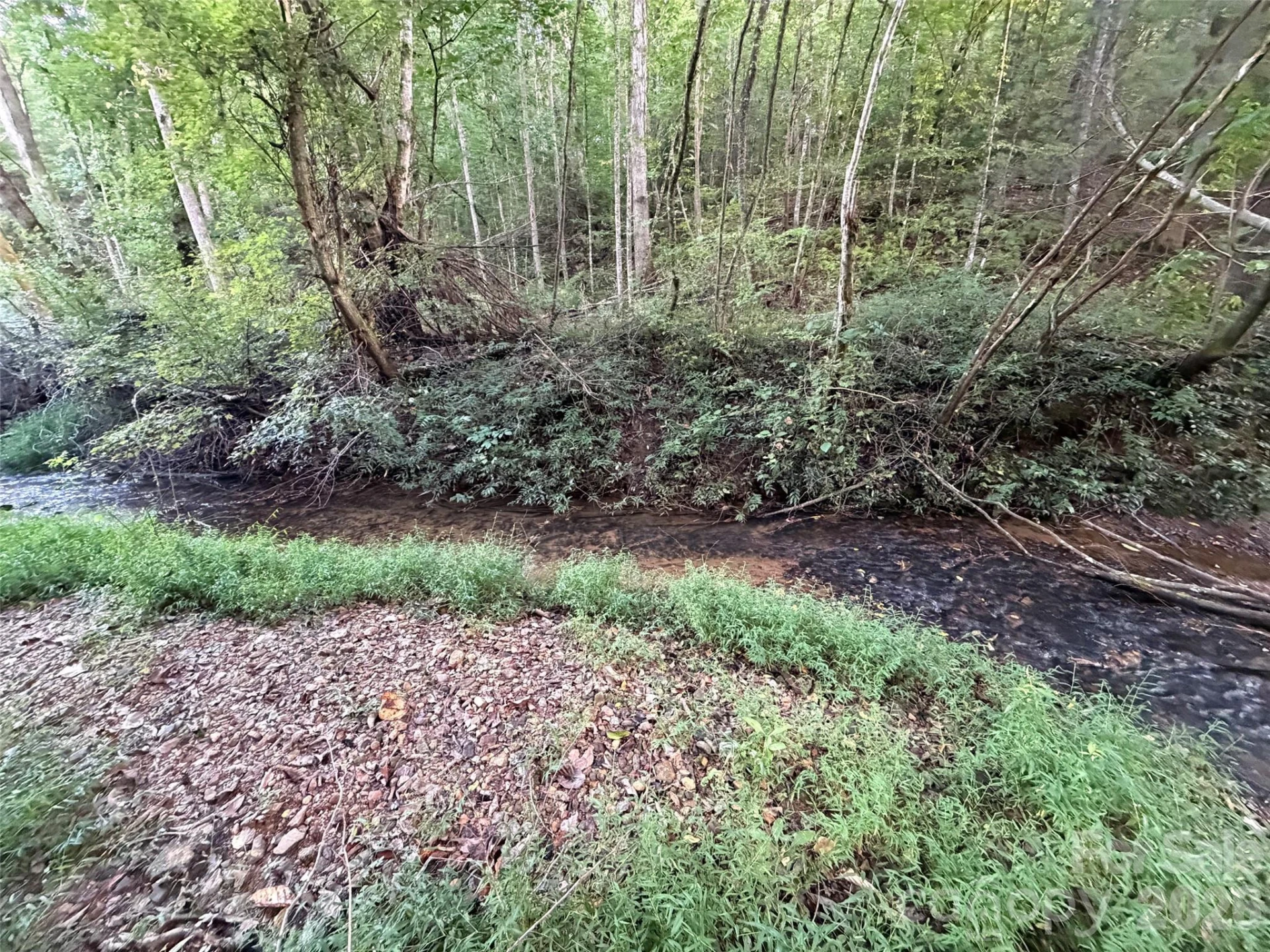 V/L Vein Mountain Road - Photo 2