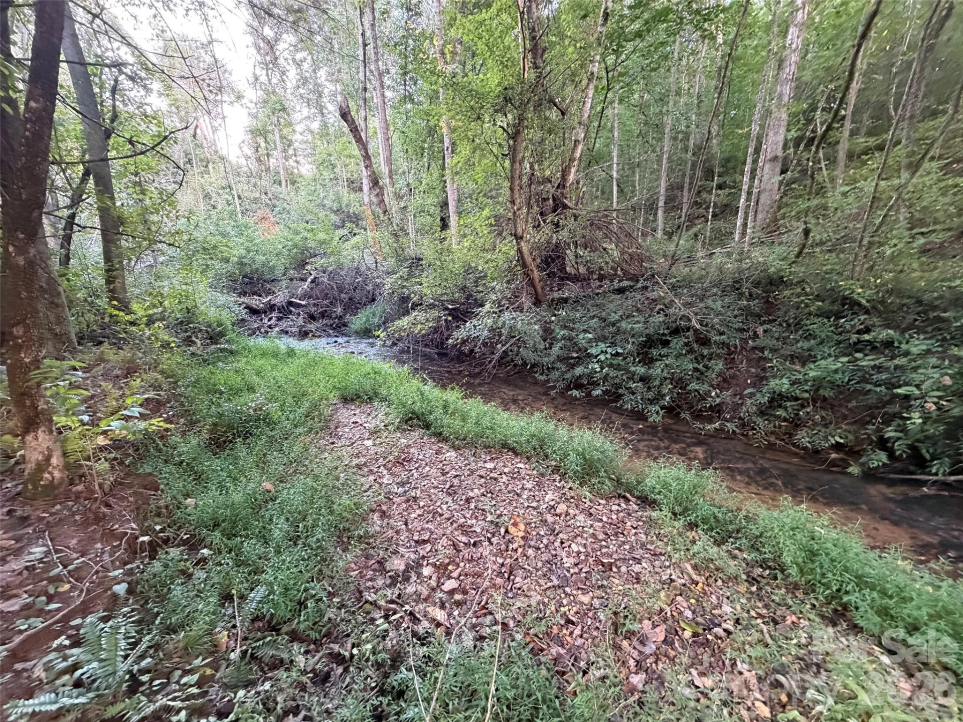 V/L Vein Mountain Road - Photo 3