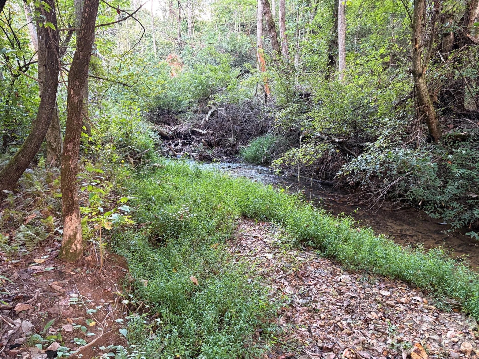 V/L Vein Mountain Road - Photo 5