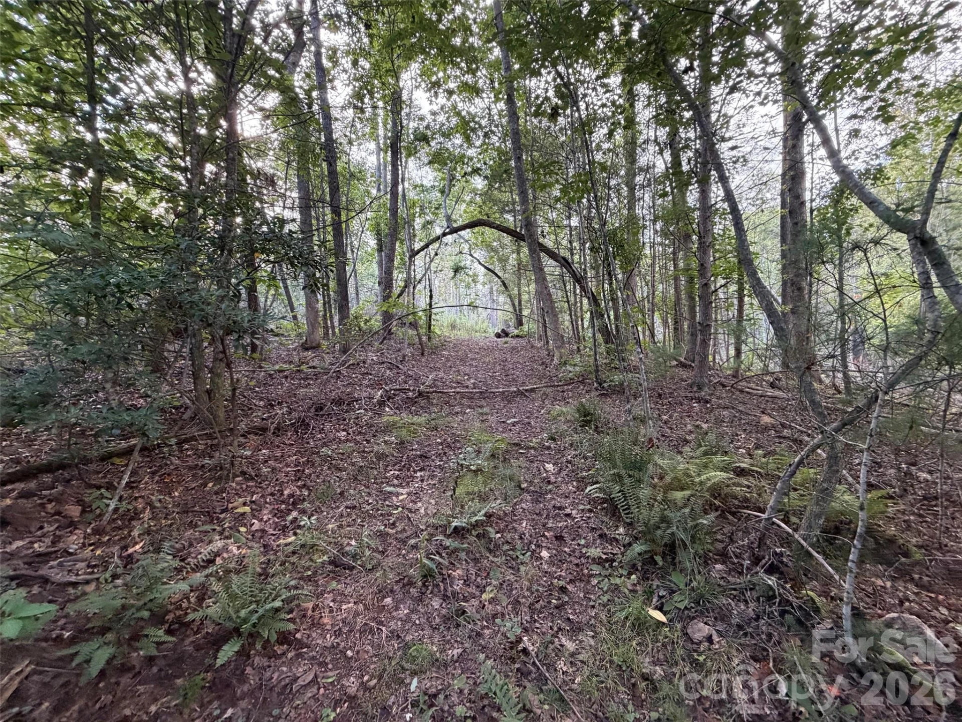 V/L Vein Mountain Road - Photo 8