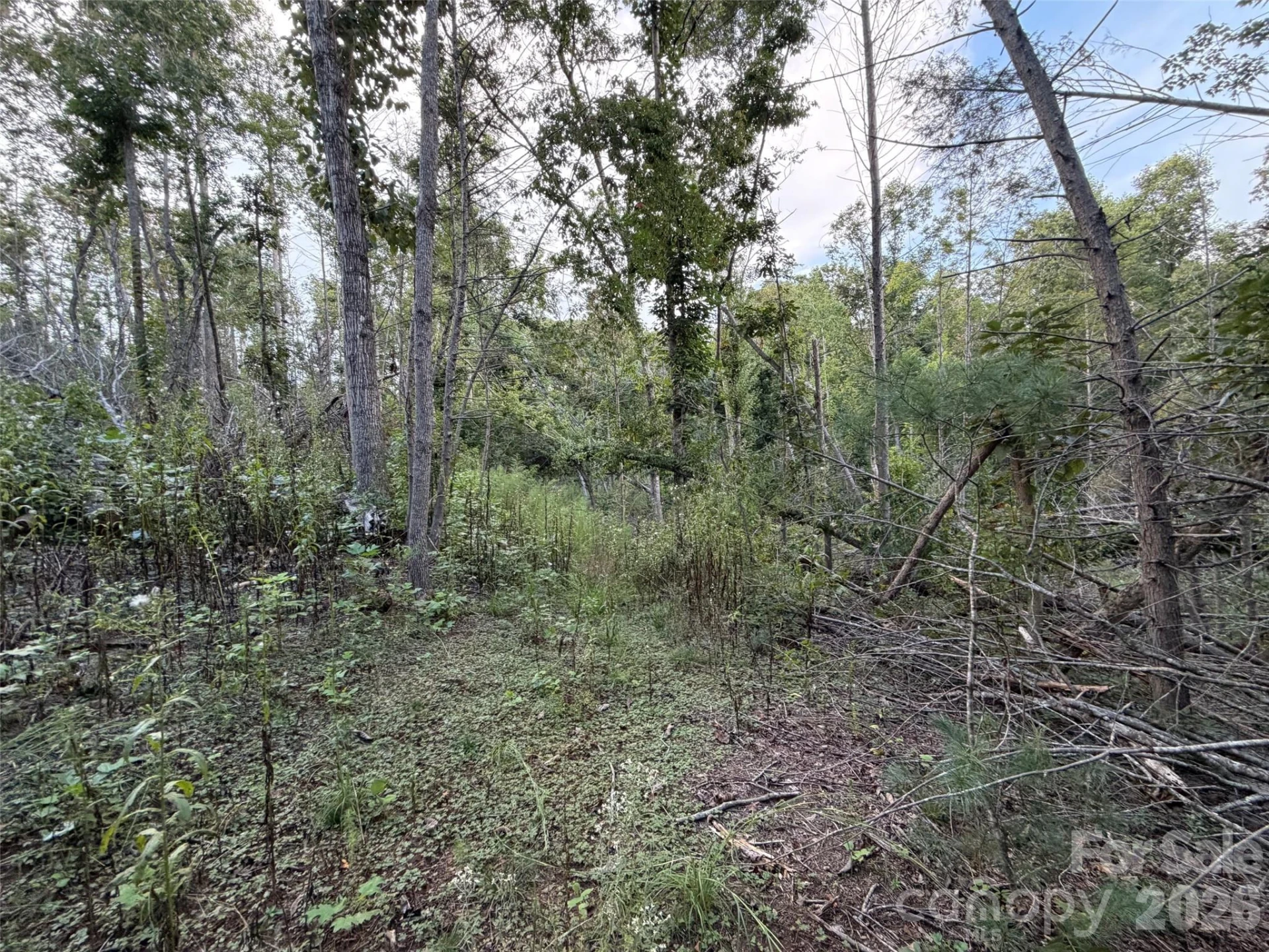 V/L Vein Mountain Road - Photo 9