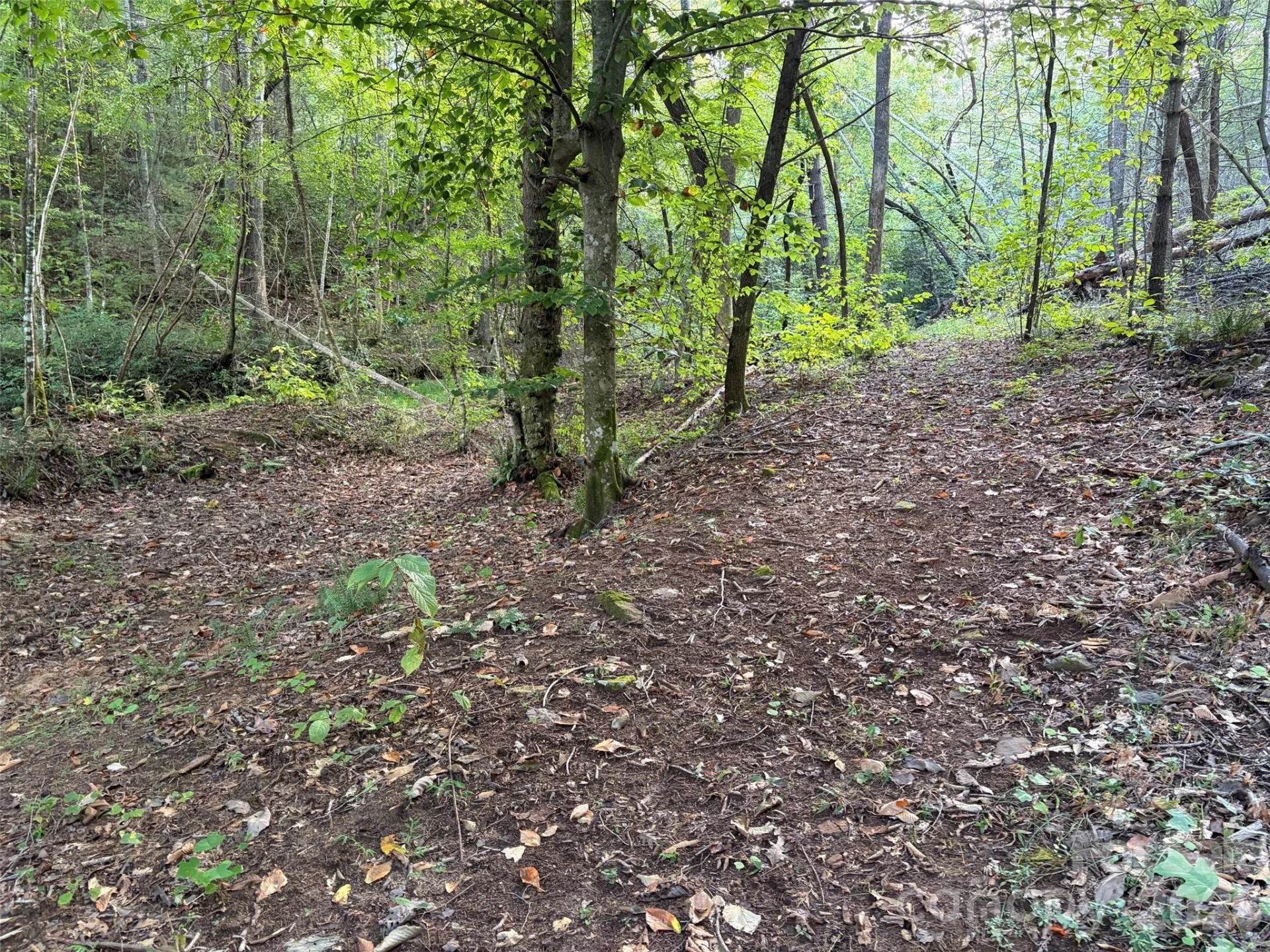 V/L Vein Mountain Road - Photo 10