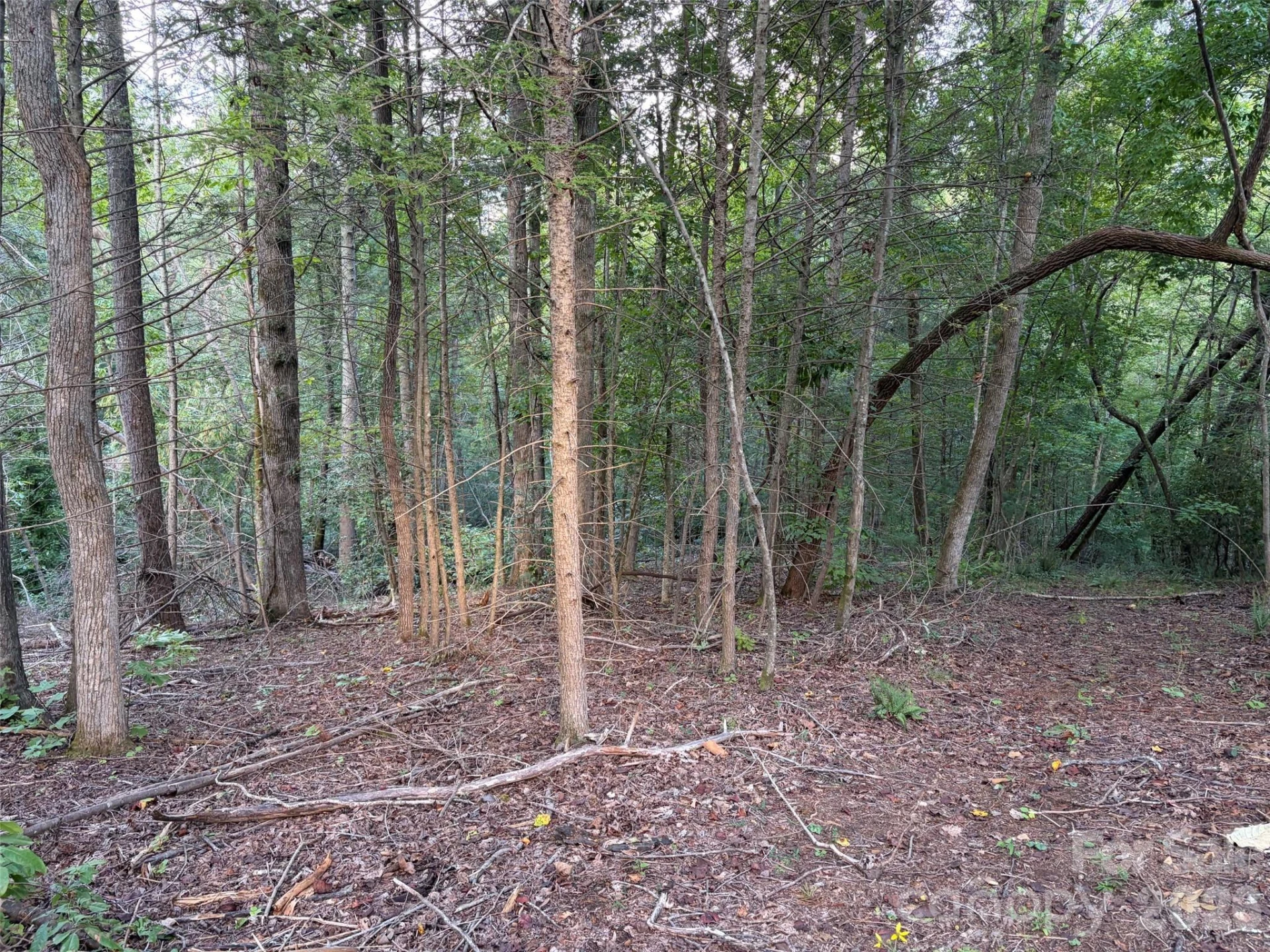 V/L Vein Mountain Road - Photo 11