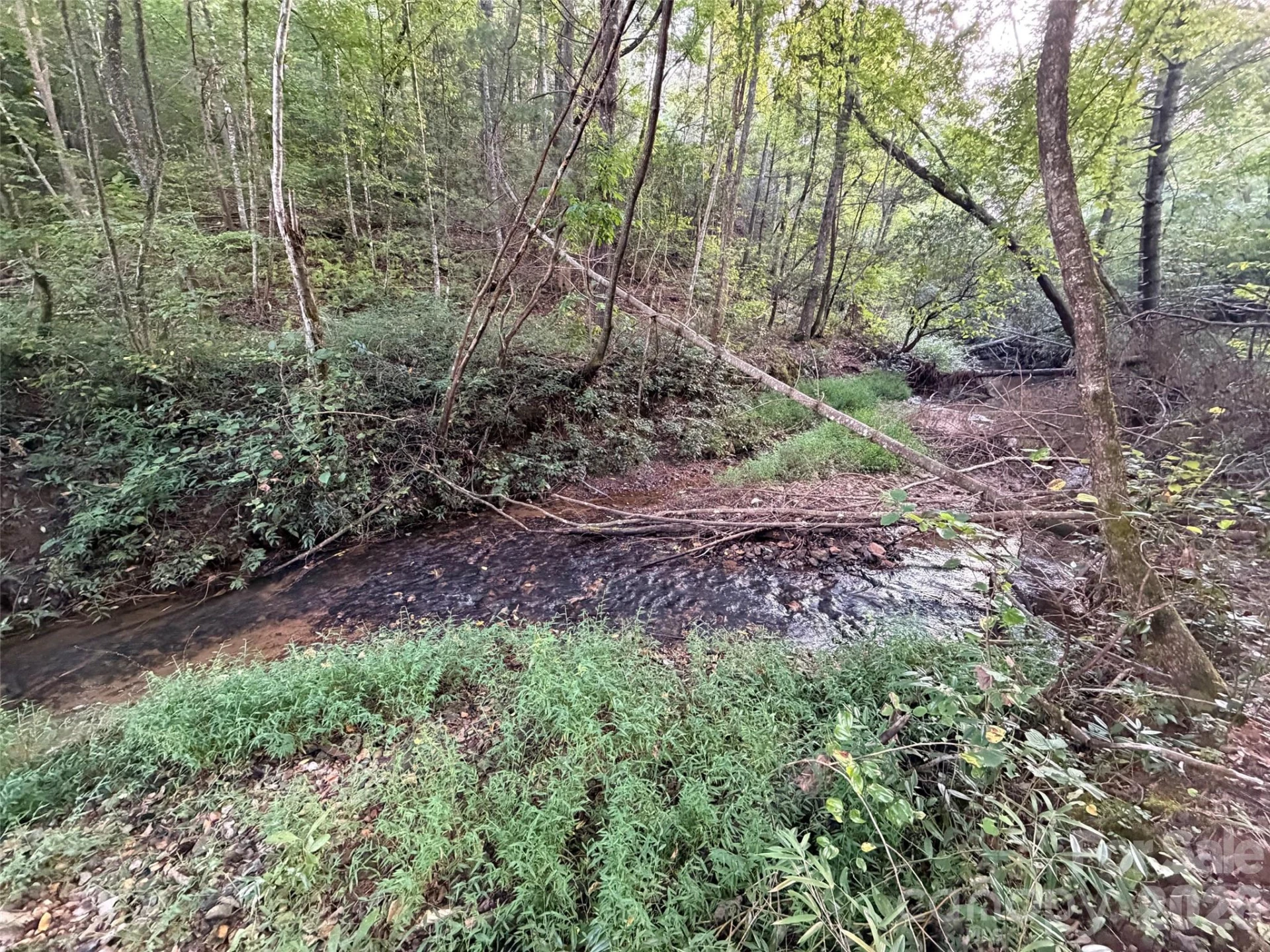 V/L Vein Mountain Road - Photo 12