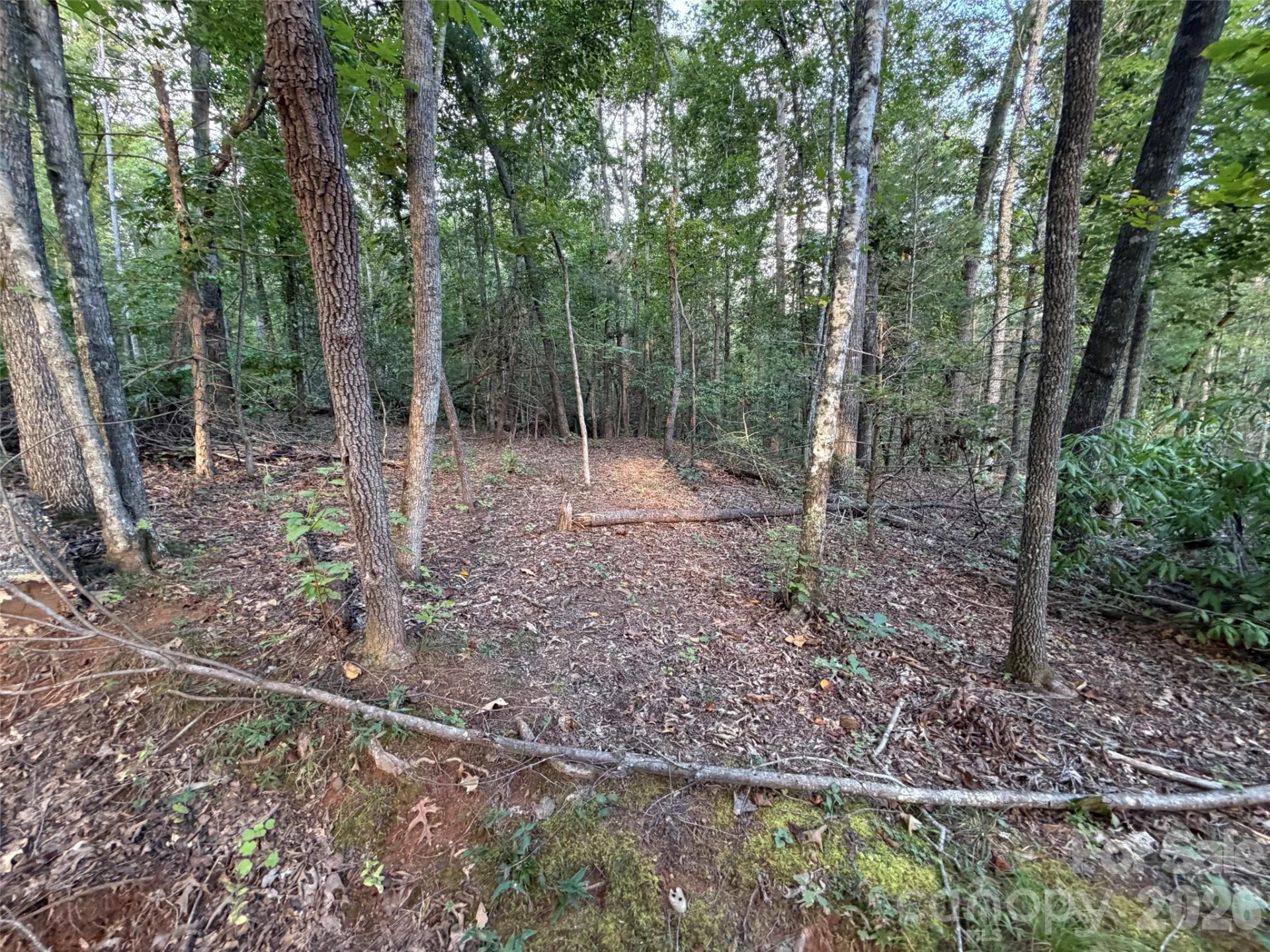 V/L Vein Mountain Road - Photo 14