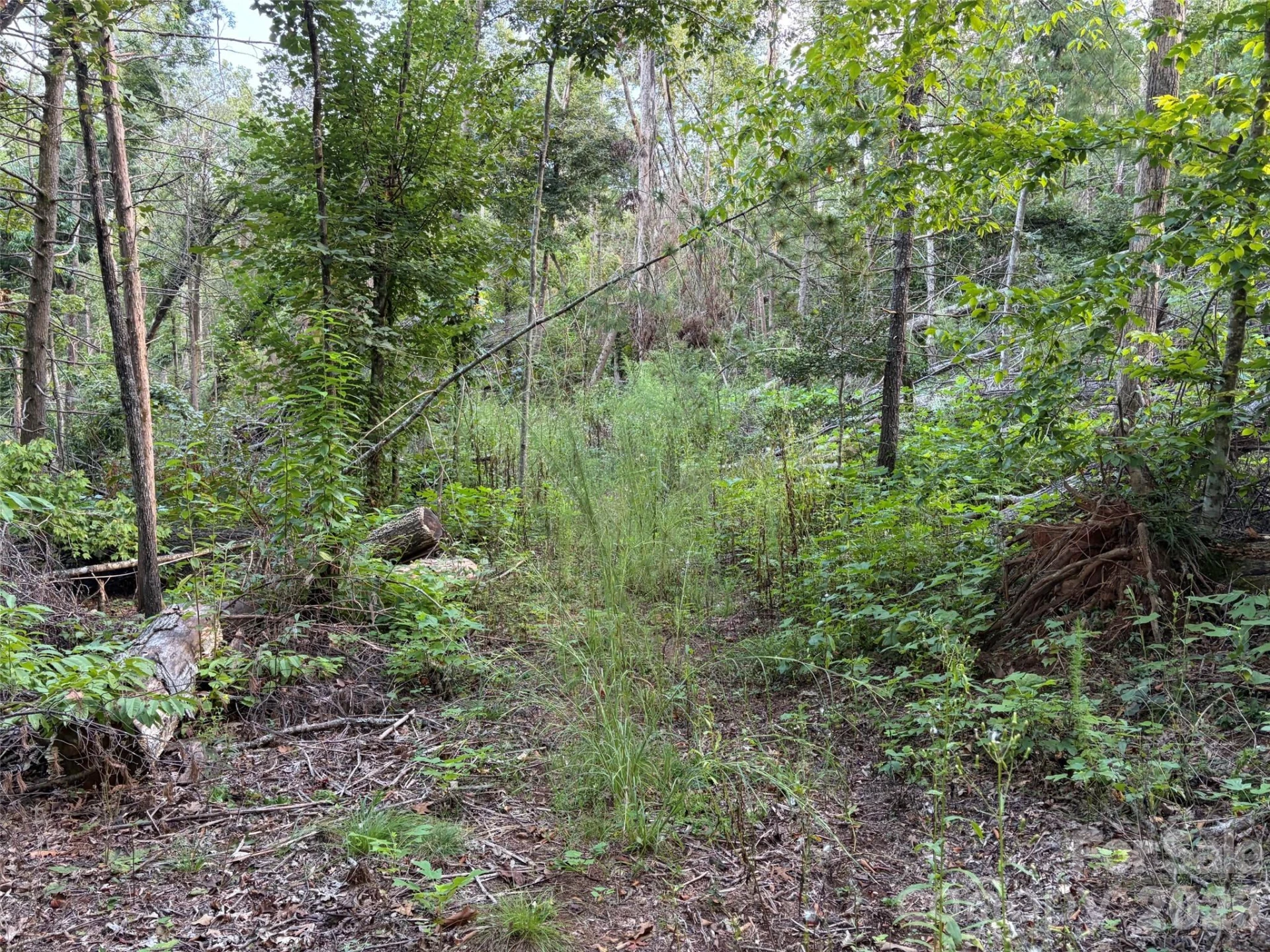 V/L Vein Mountain Road - Photo 16