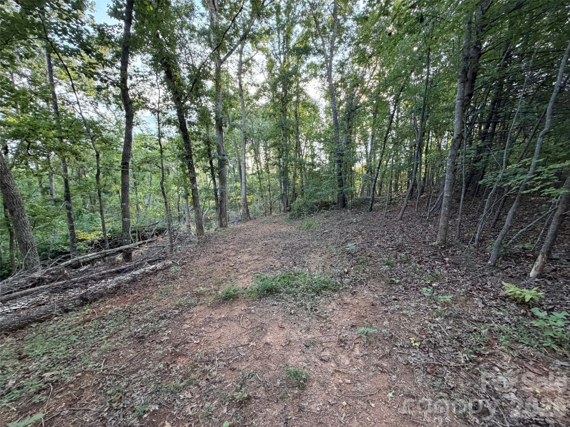 V/L Vein Mountain Road - Photo 19
