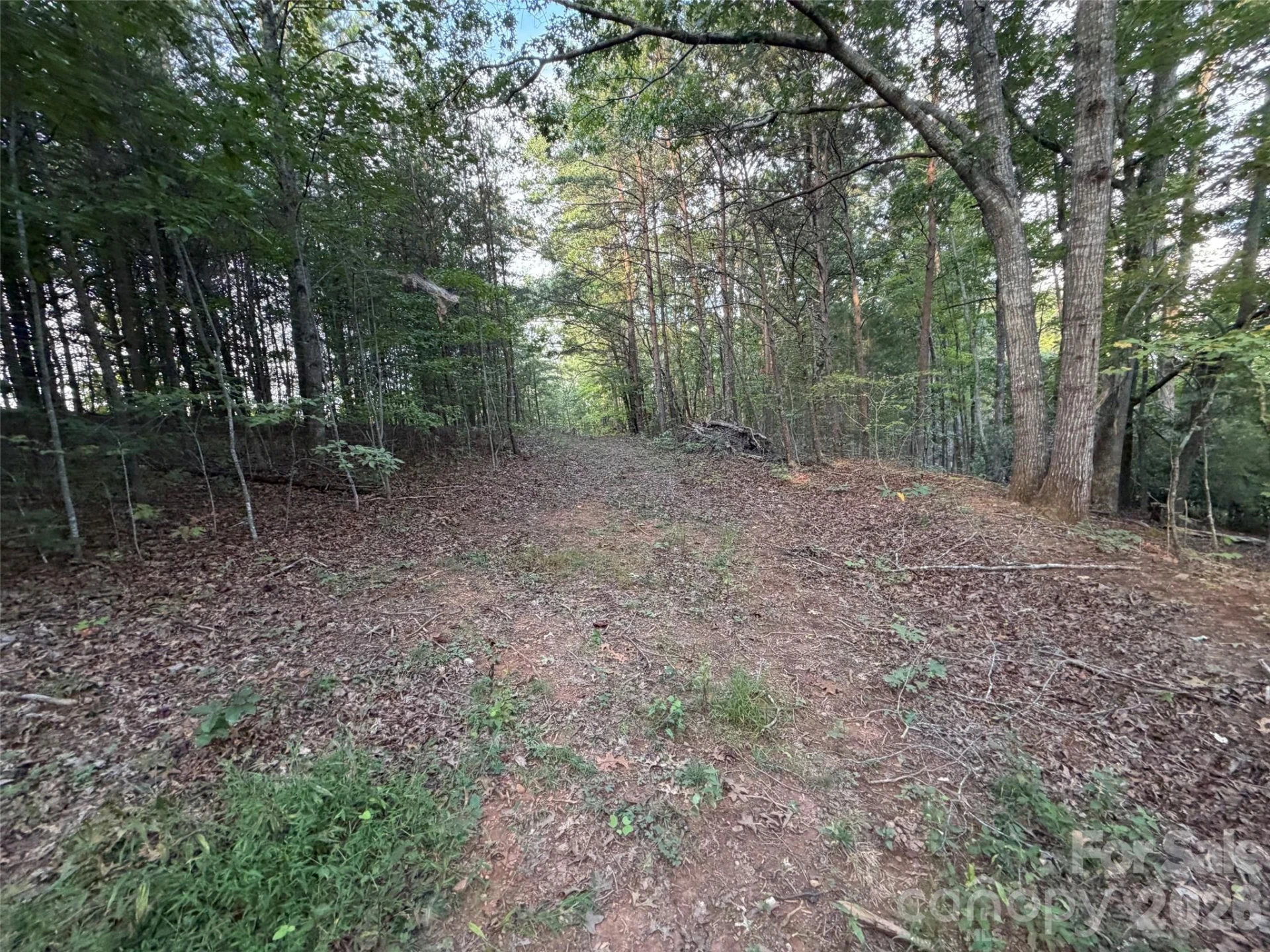 V/L Vein Mountain Road - Photo 20