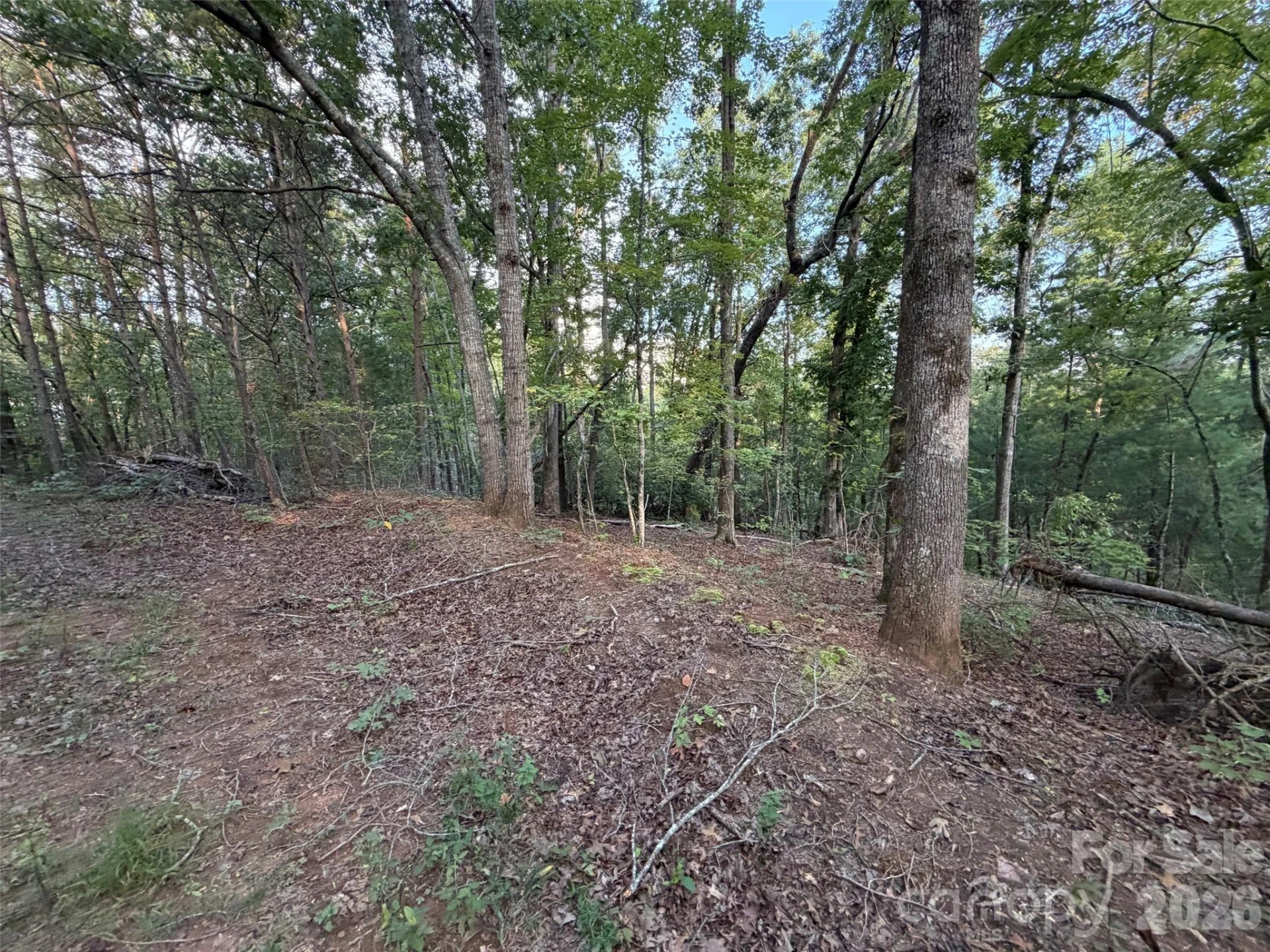 V/L Vein Mountain Road - Photo 21