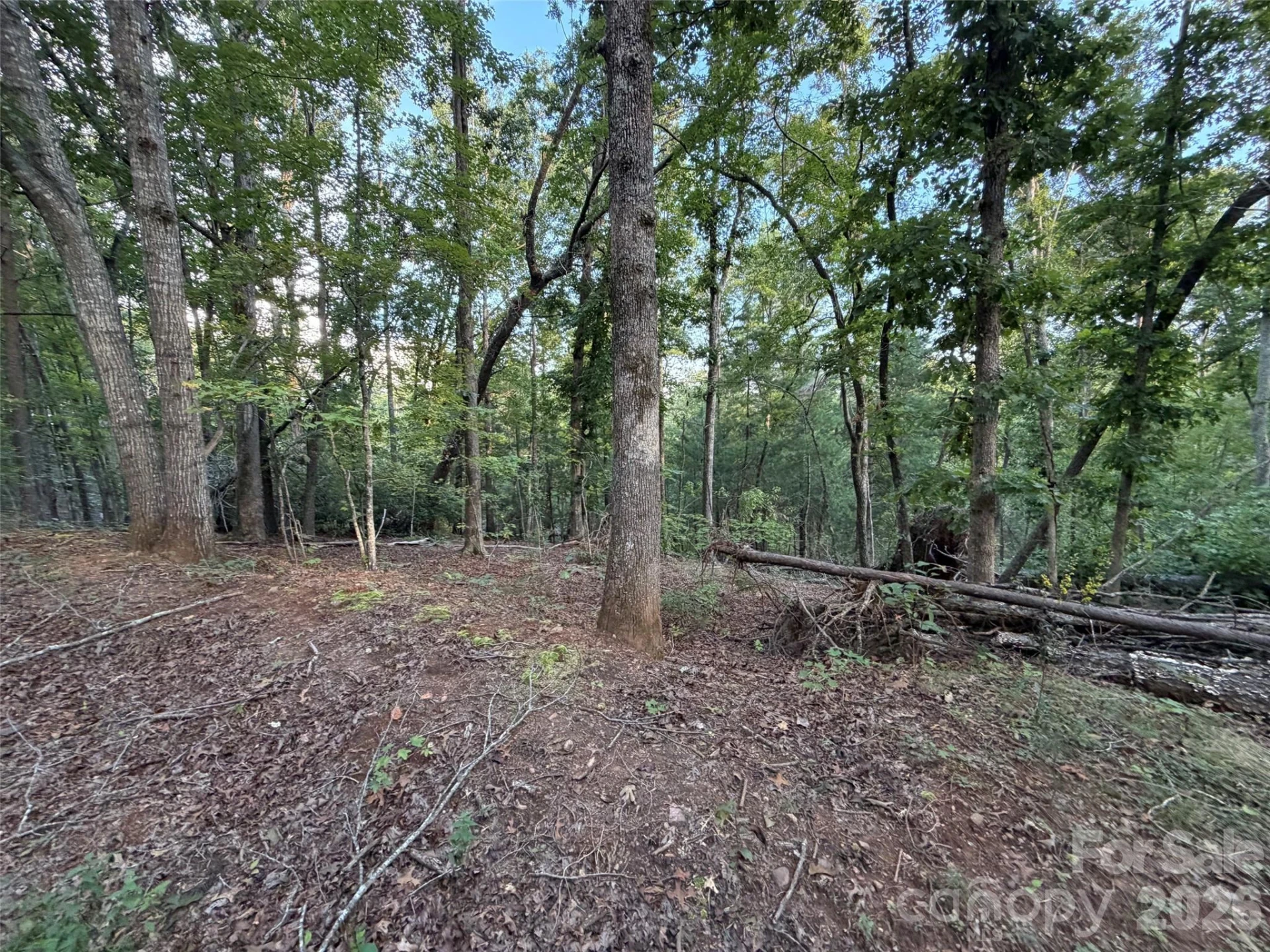 V/L Vein Mountain Road - Photo 22