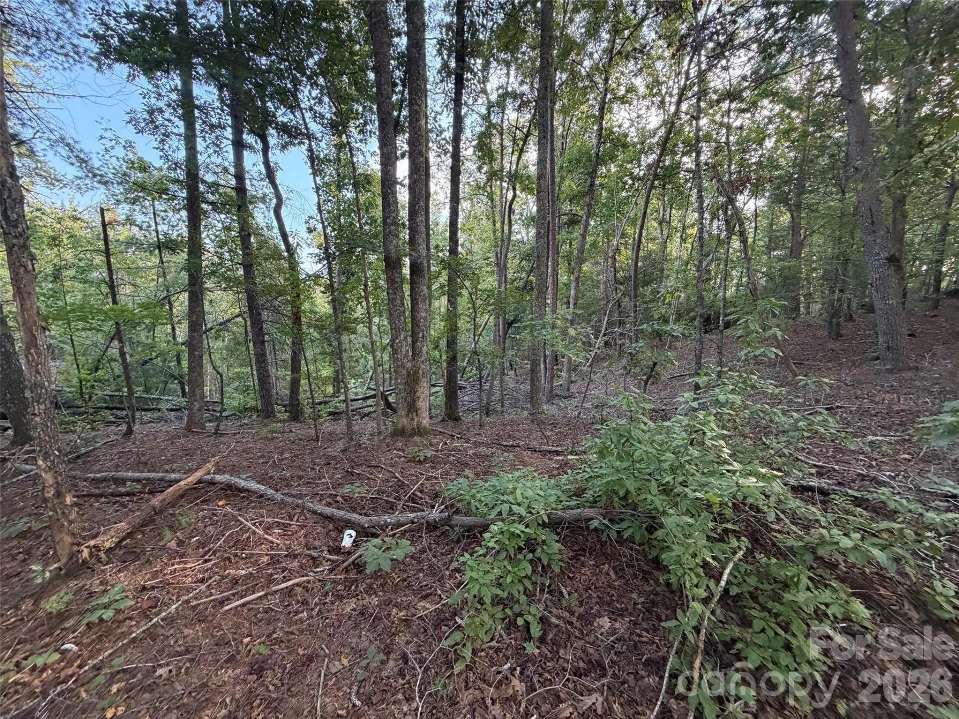 V/L Vein Mountain Road - Photo 23