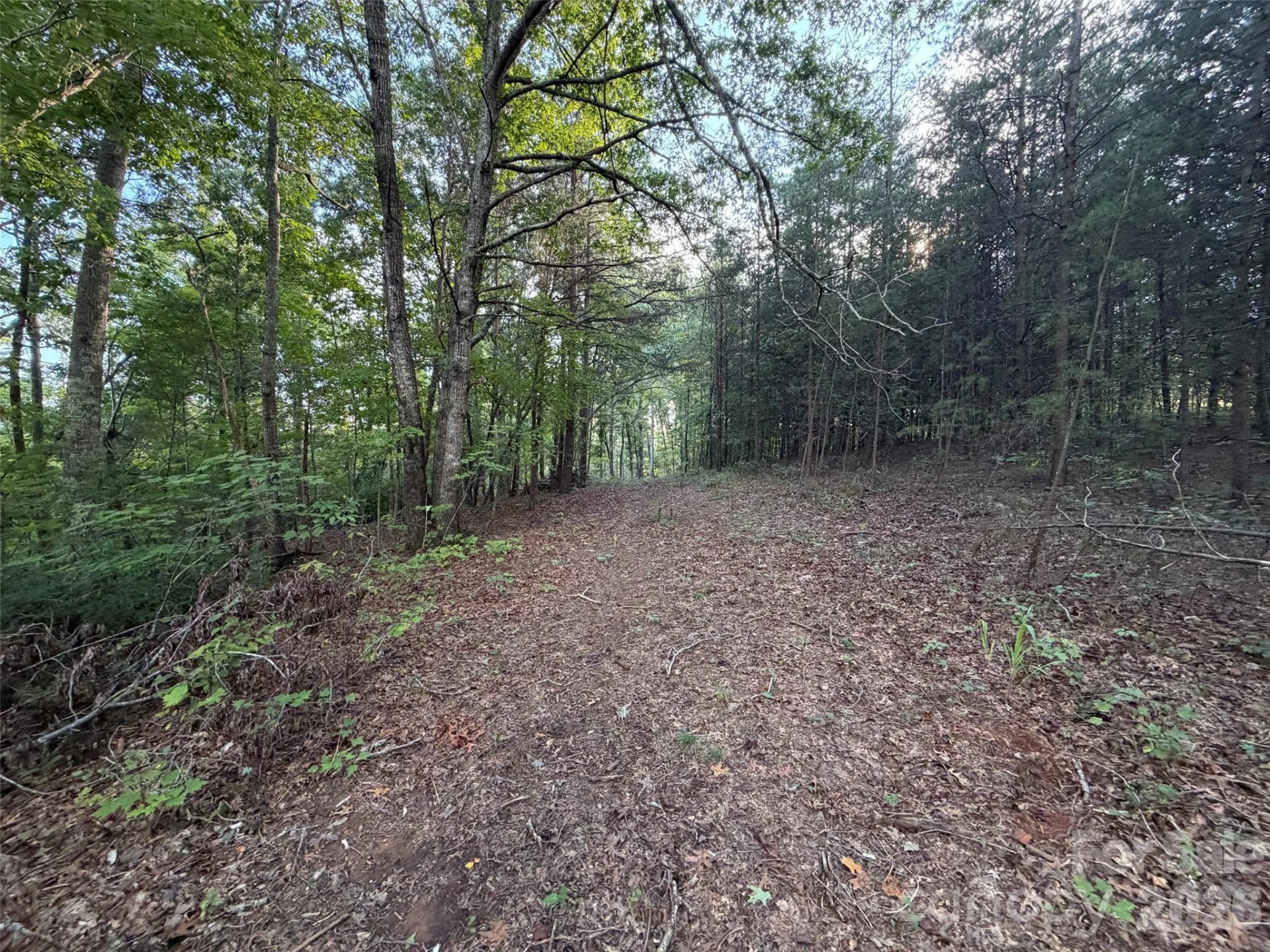 V/L Vein Mountain Road - Photo 24