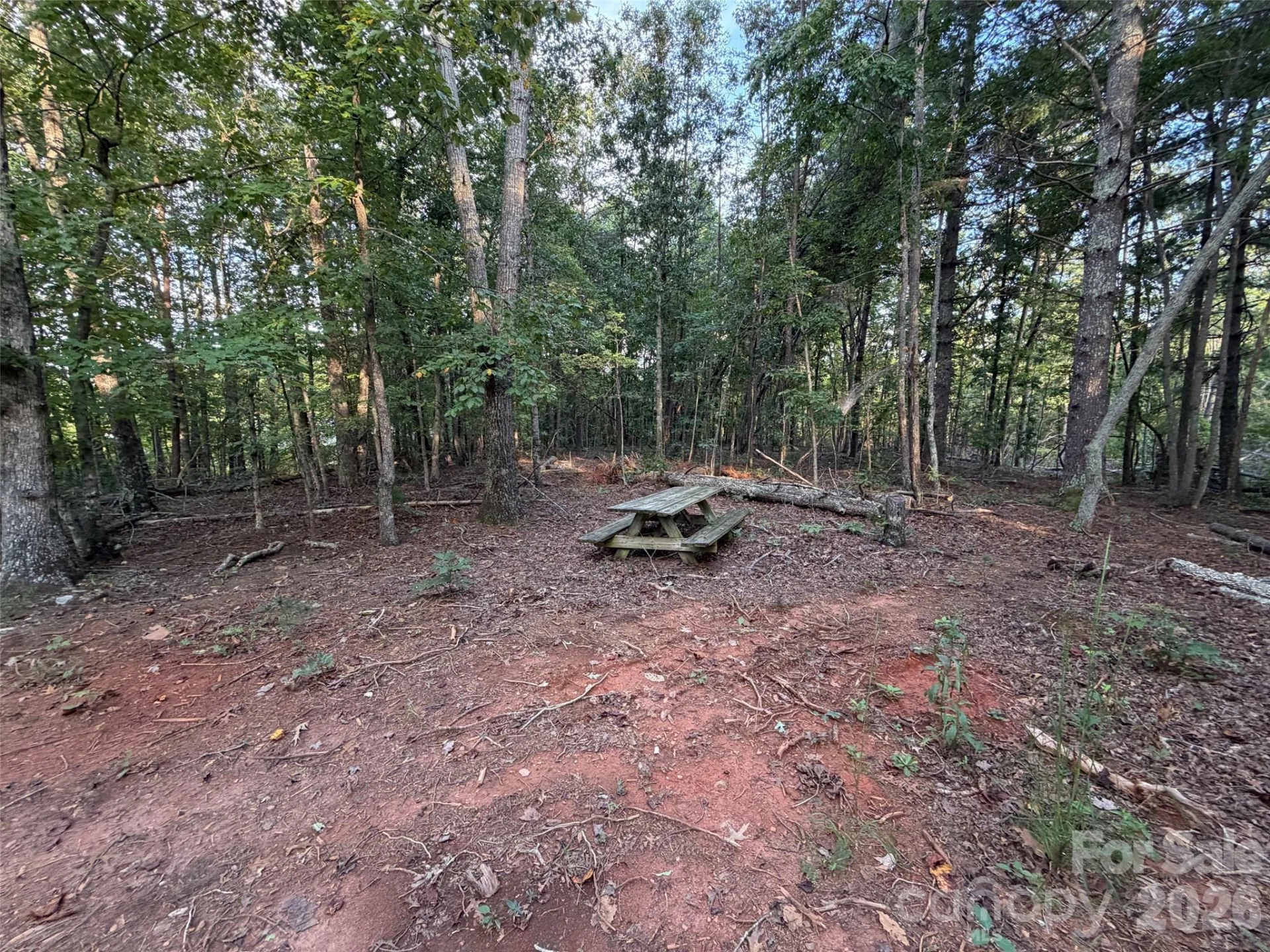 V/L Vein Mountain Road - Photo 25