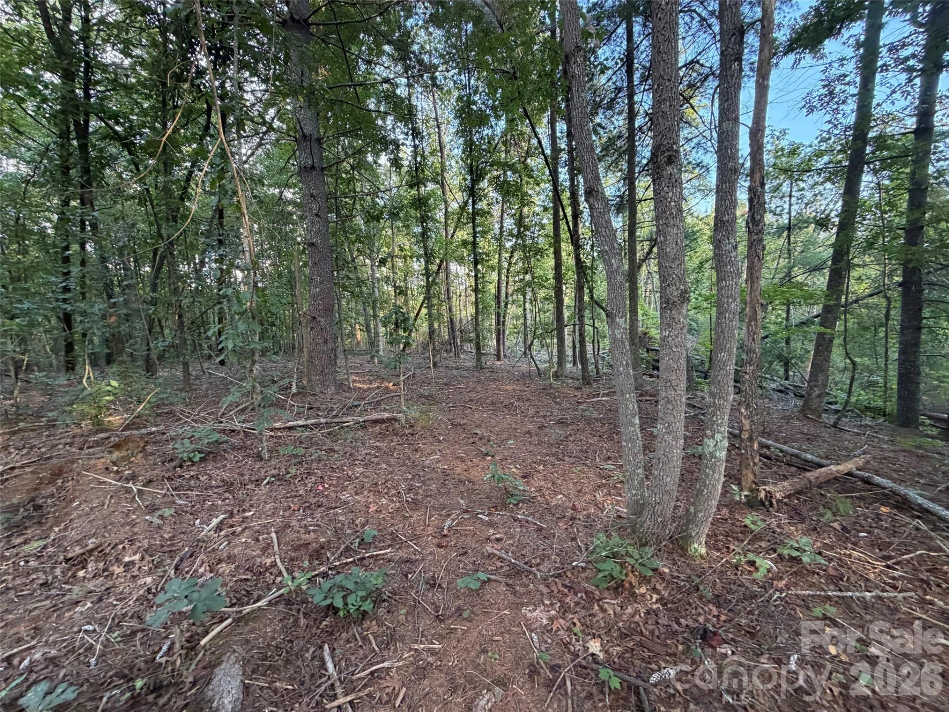 V/L Vein Mountain Road - Photo 27