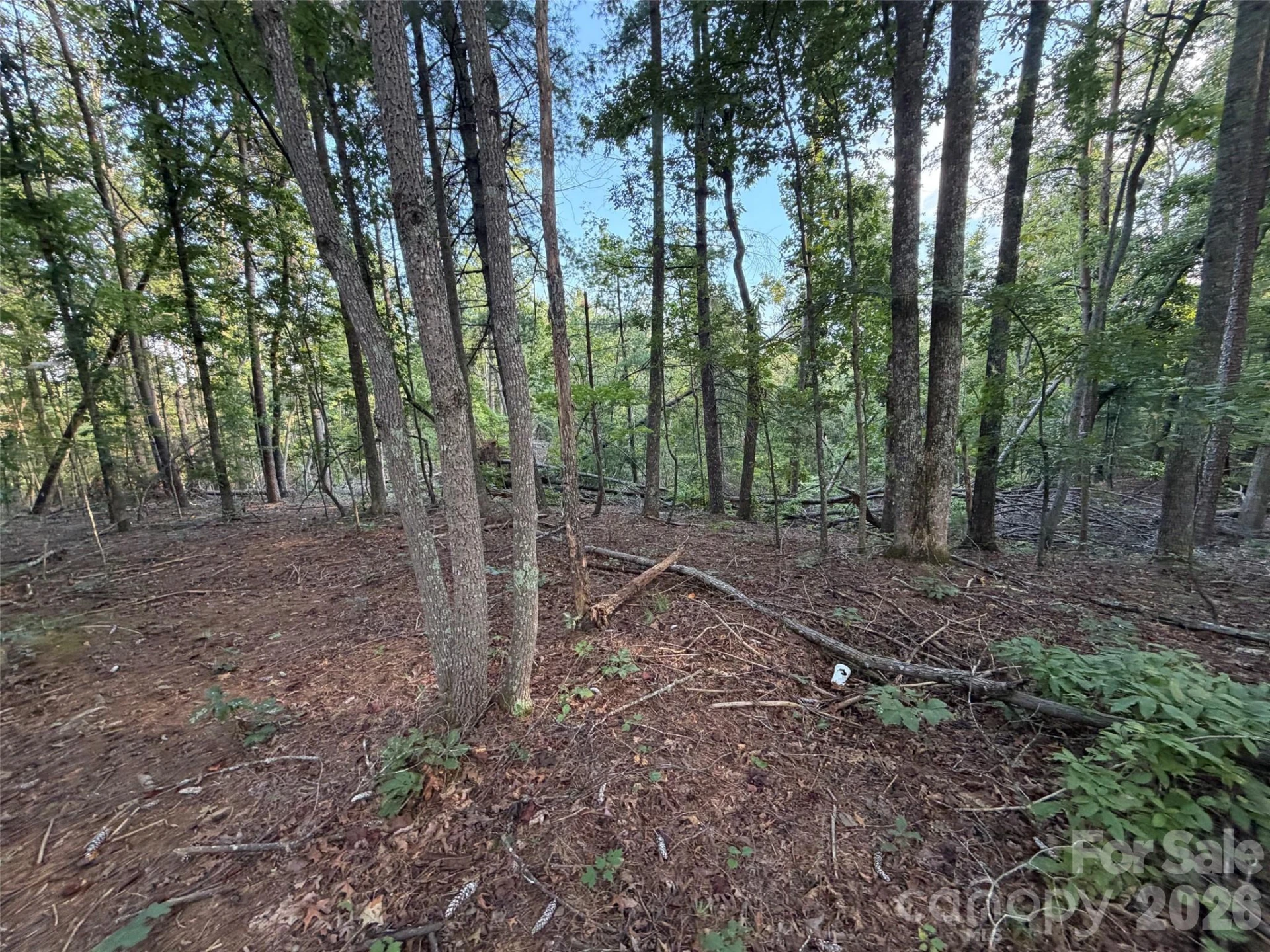 V/L Vein Mountain Road - Photo 28