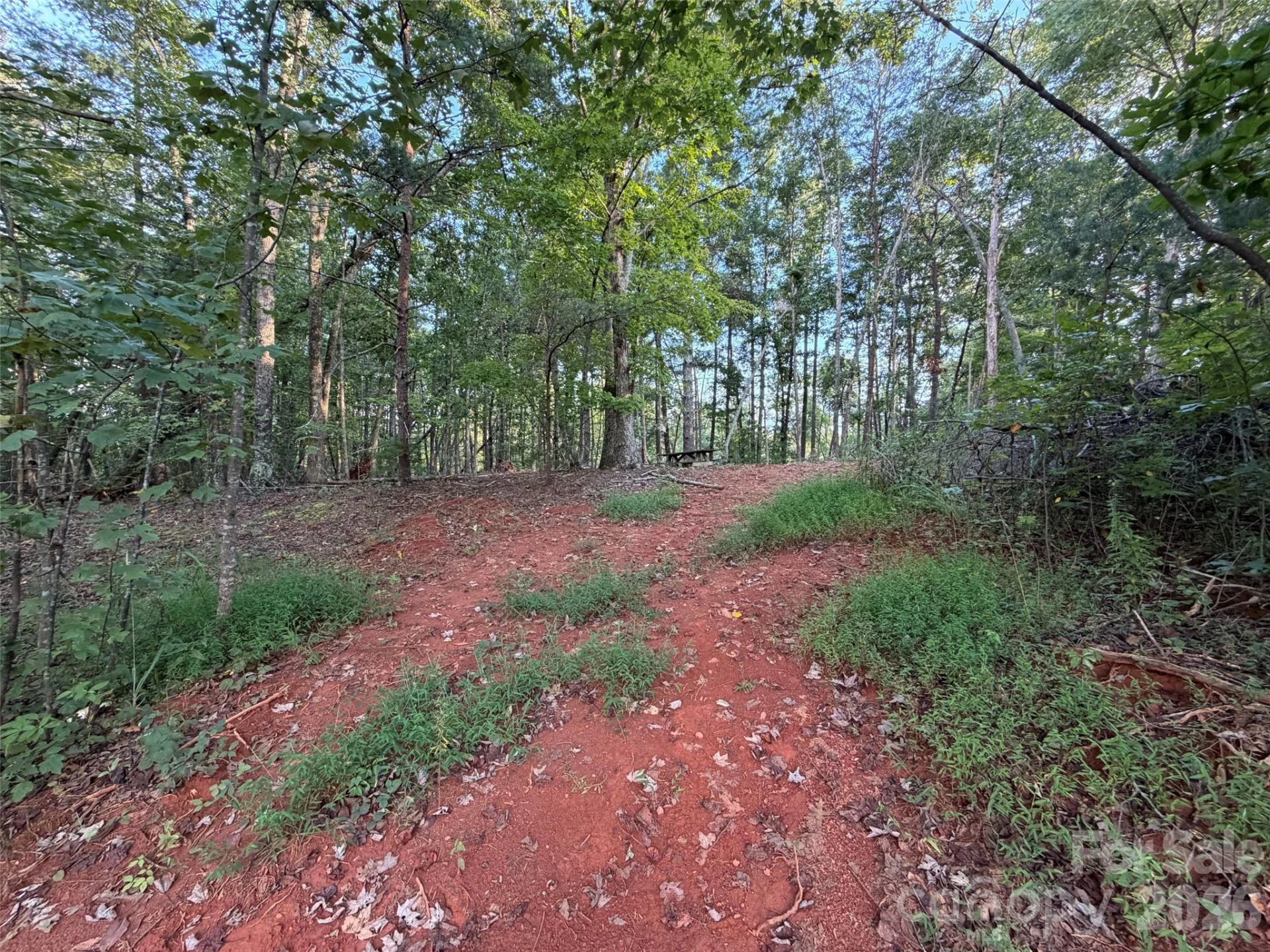 V/L Vein Mountain Road - Photo 29