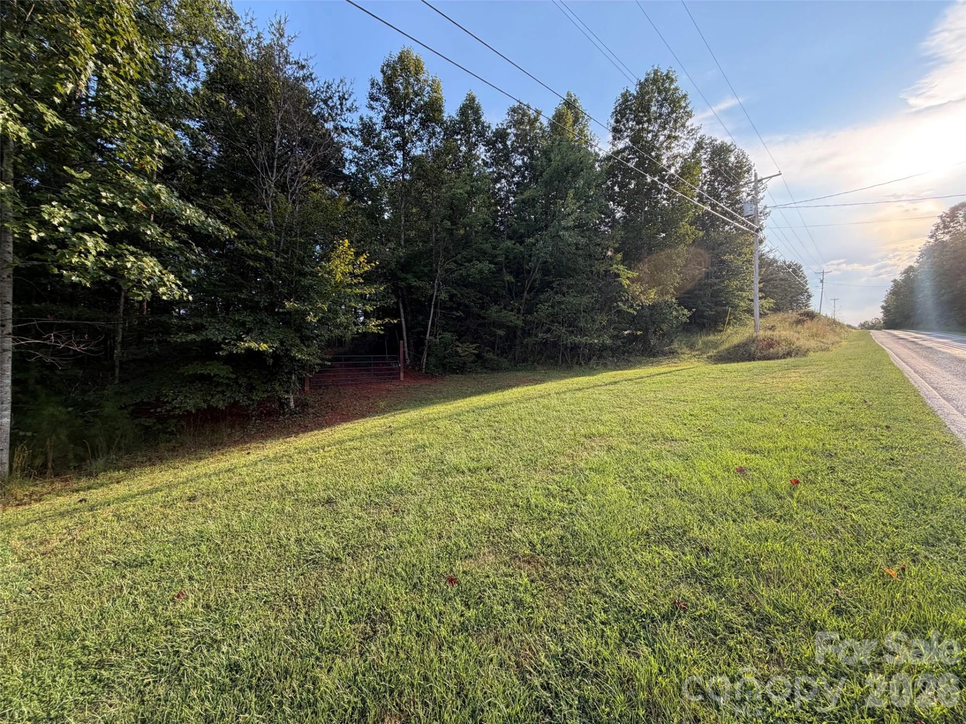 V/L Vein Mountain Road - Photo 31