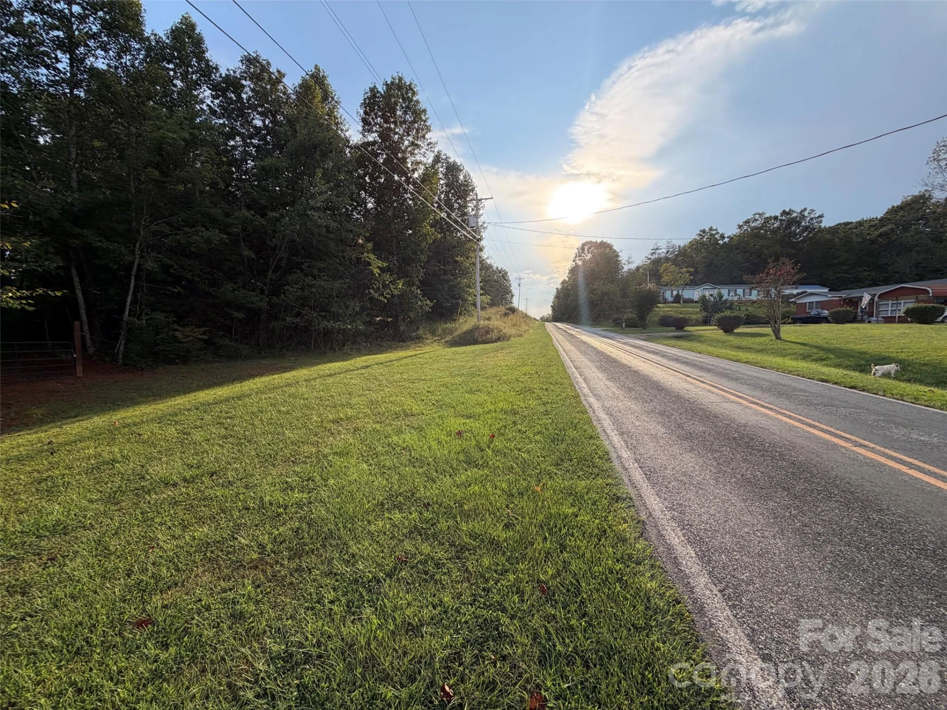 V/L Vein Mountain Road - Photo 32