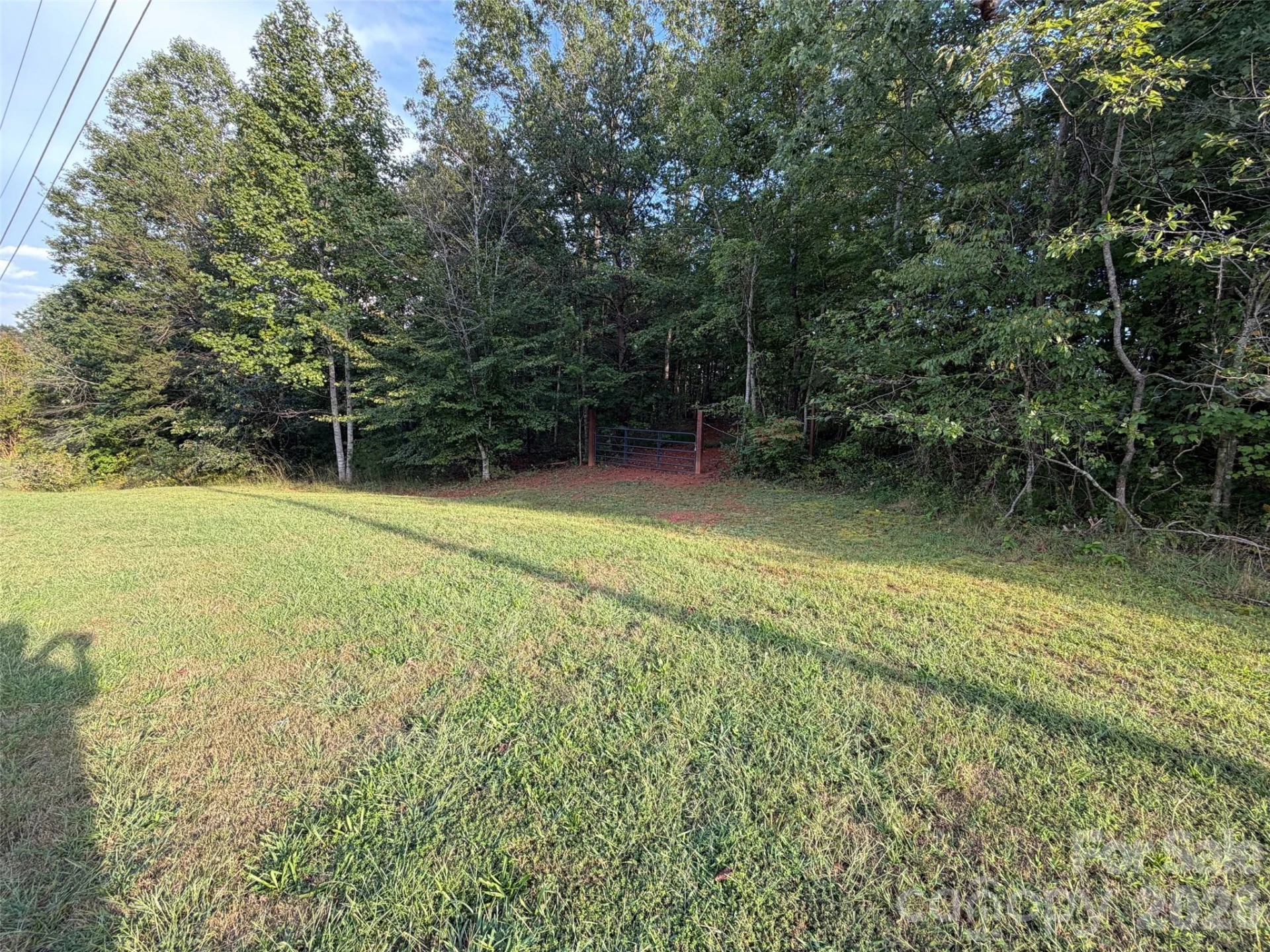 V/L Vein Mountain Road - Photo 34
