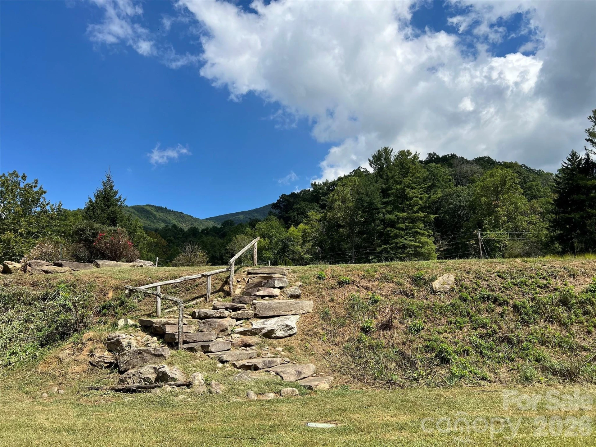 000 Shining Rock Drive #2 - Photo 4