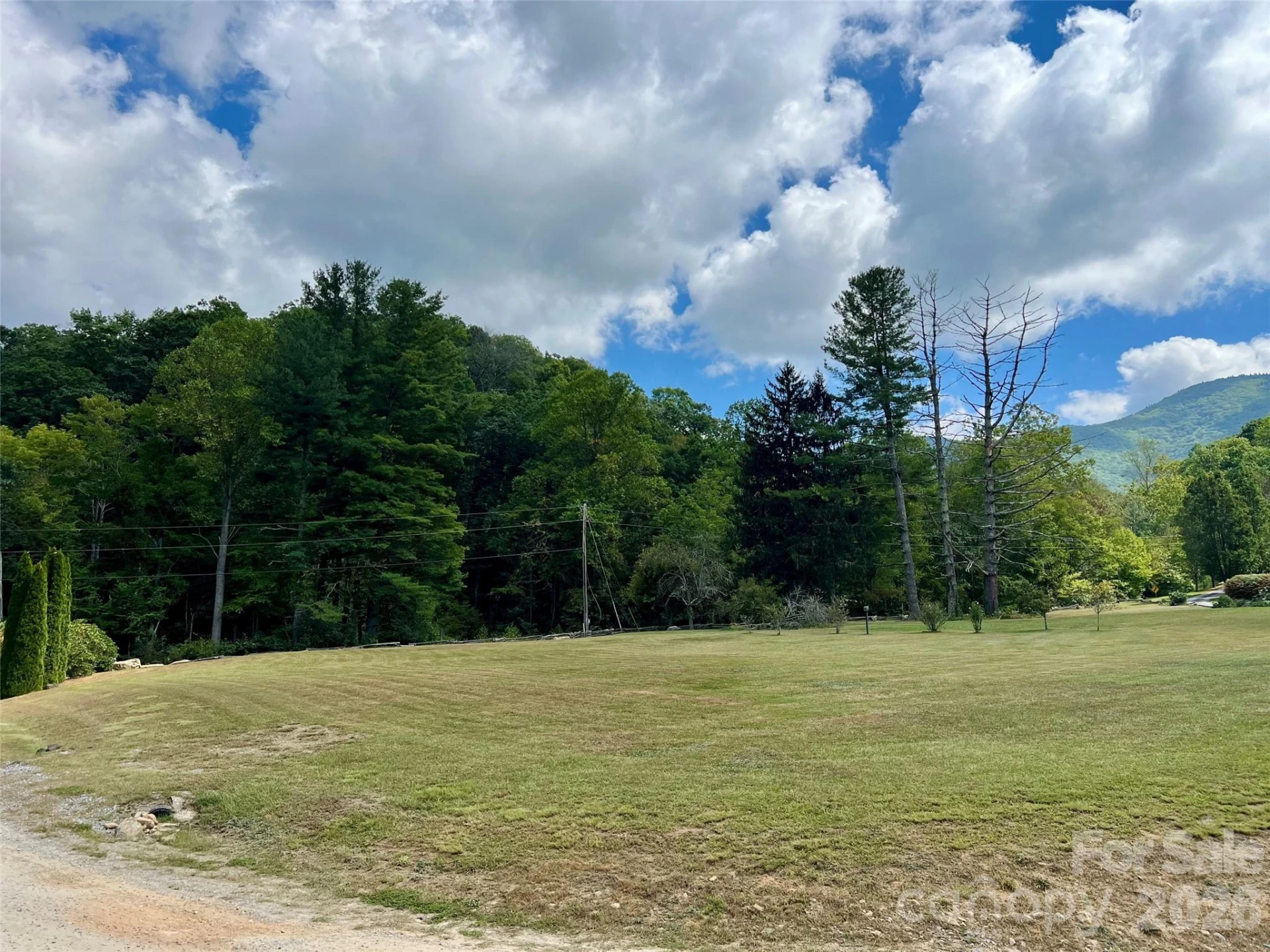 000 Shining Rock Drive #2 - Photo 7