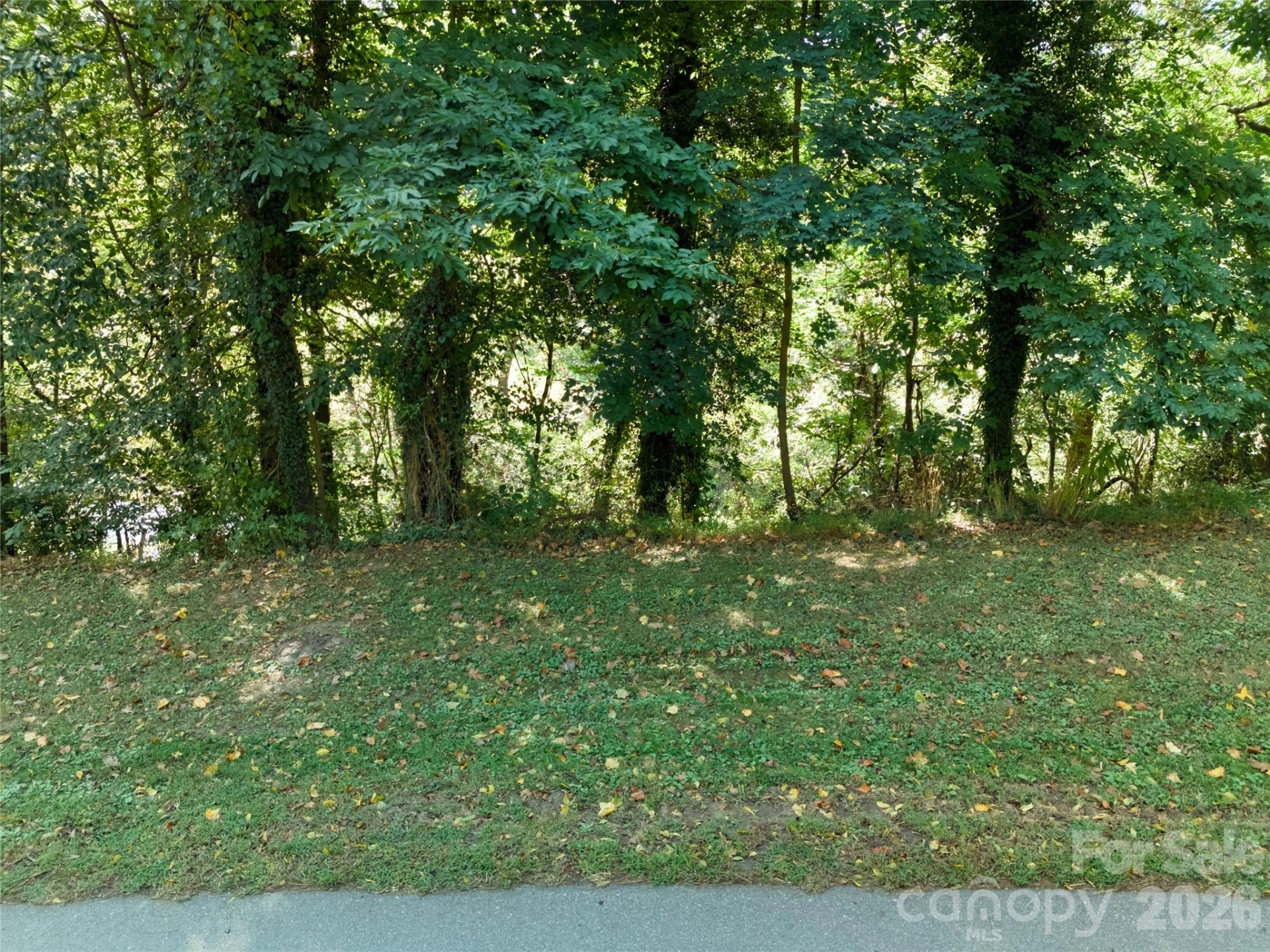 632 Sand Hill Road #1B - Photo 3