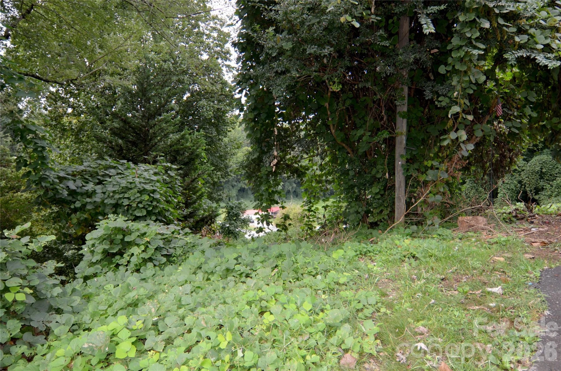 440 Hillcrest Street #22 - Photo 4