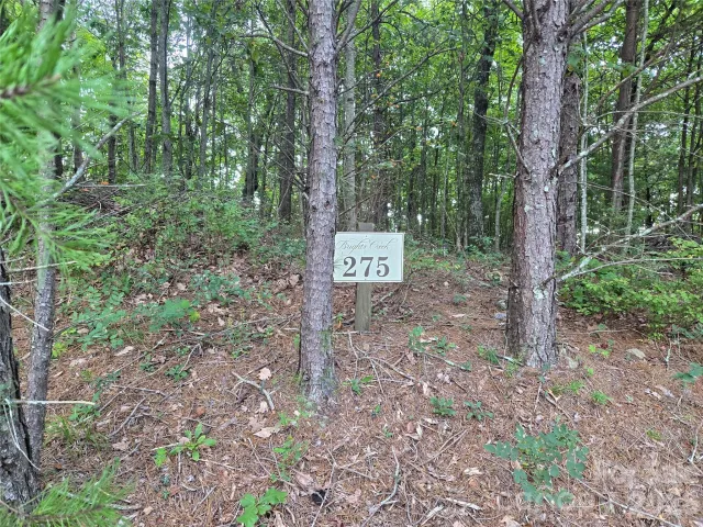 275 Kincaid Place, Mill Spring, NC, 28756