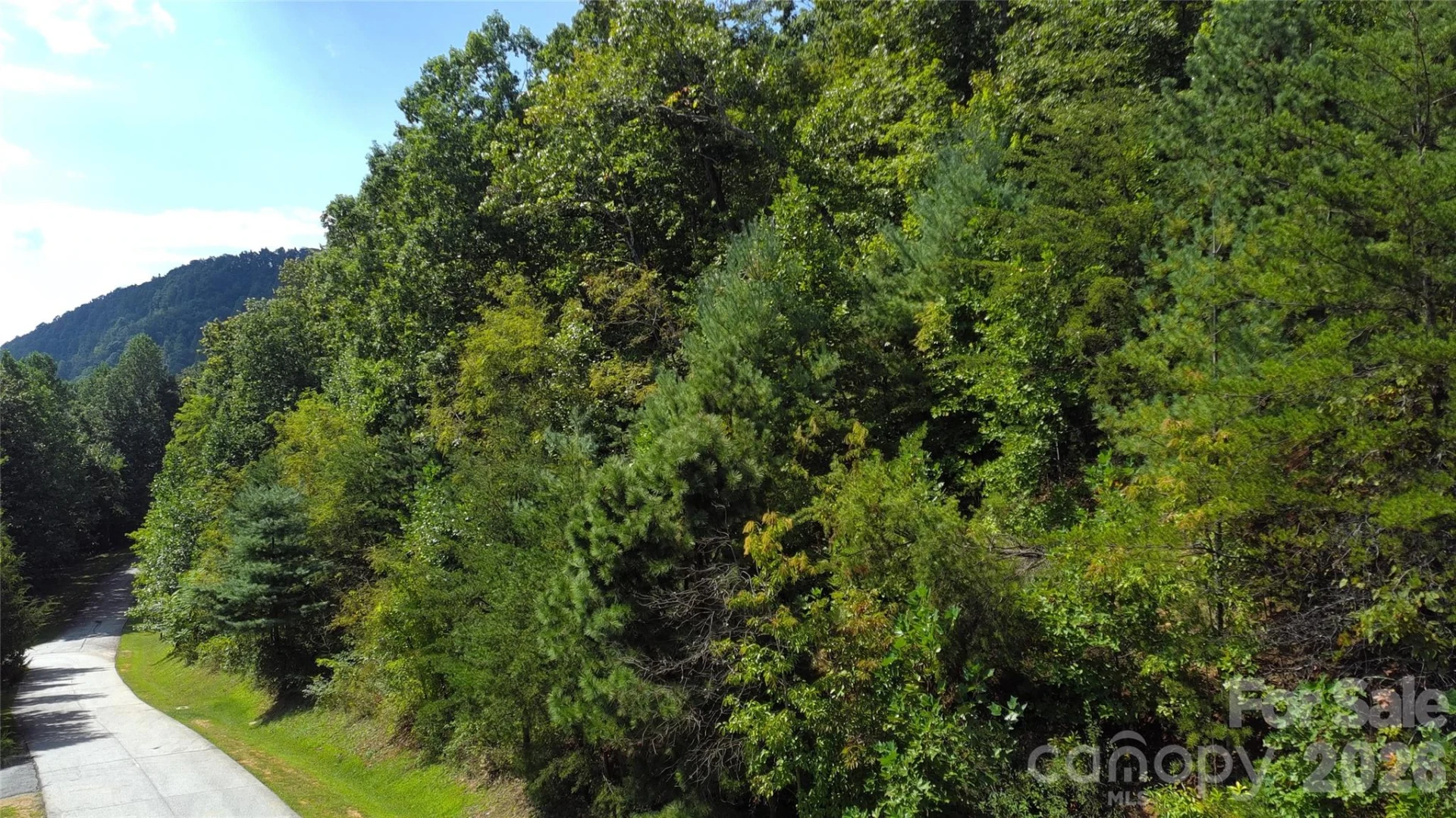 275 Kincaid Place #275 - Photo 3