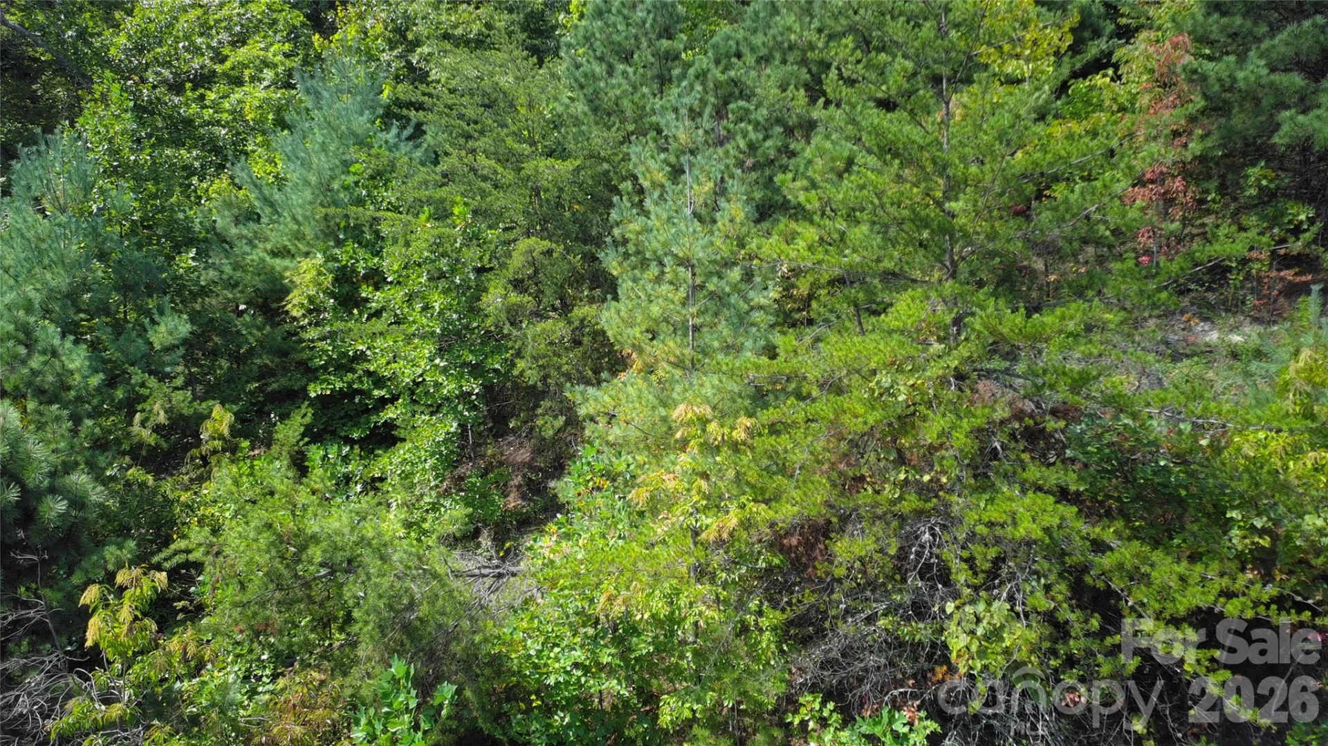 275 Kincaid Place #275 - Photo 4