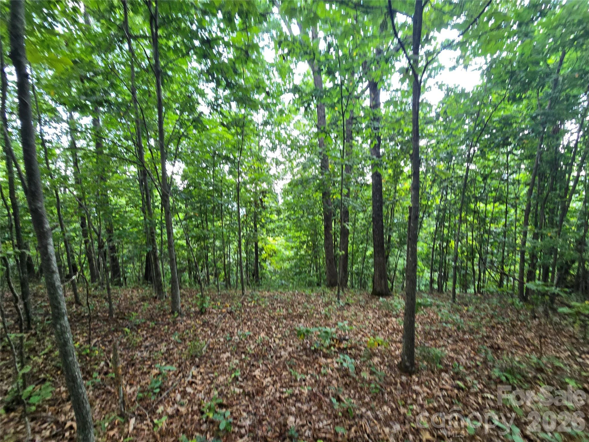 275 Kincaid Place #275 - Photo 5