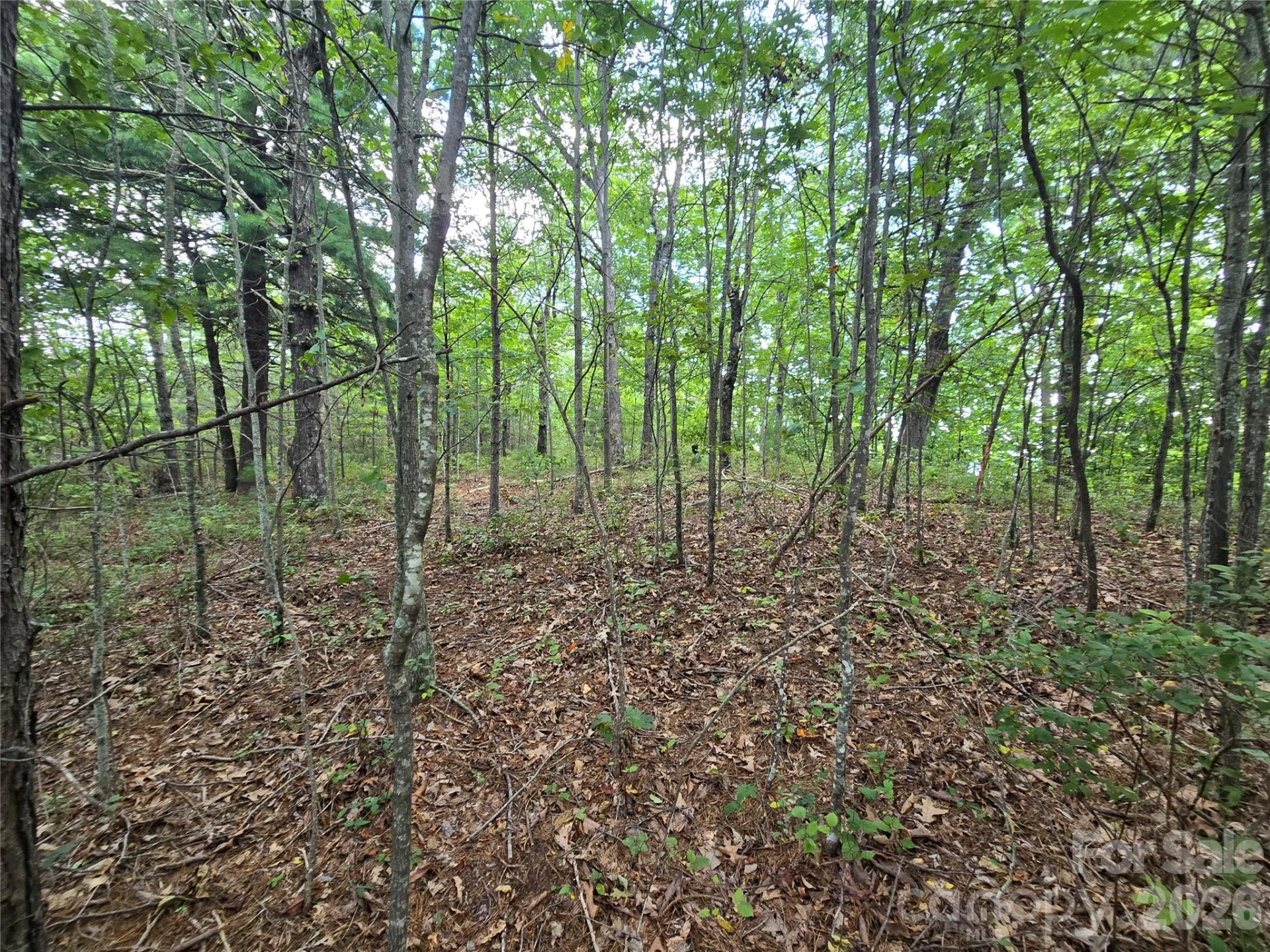 275 Kincaid Place #275 - Photo 6
