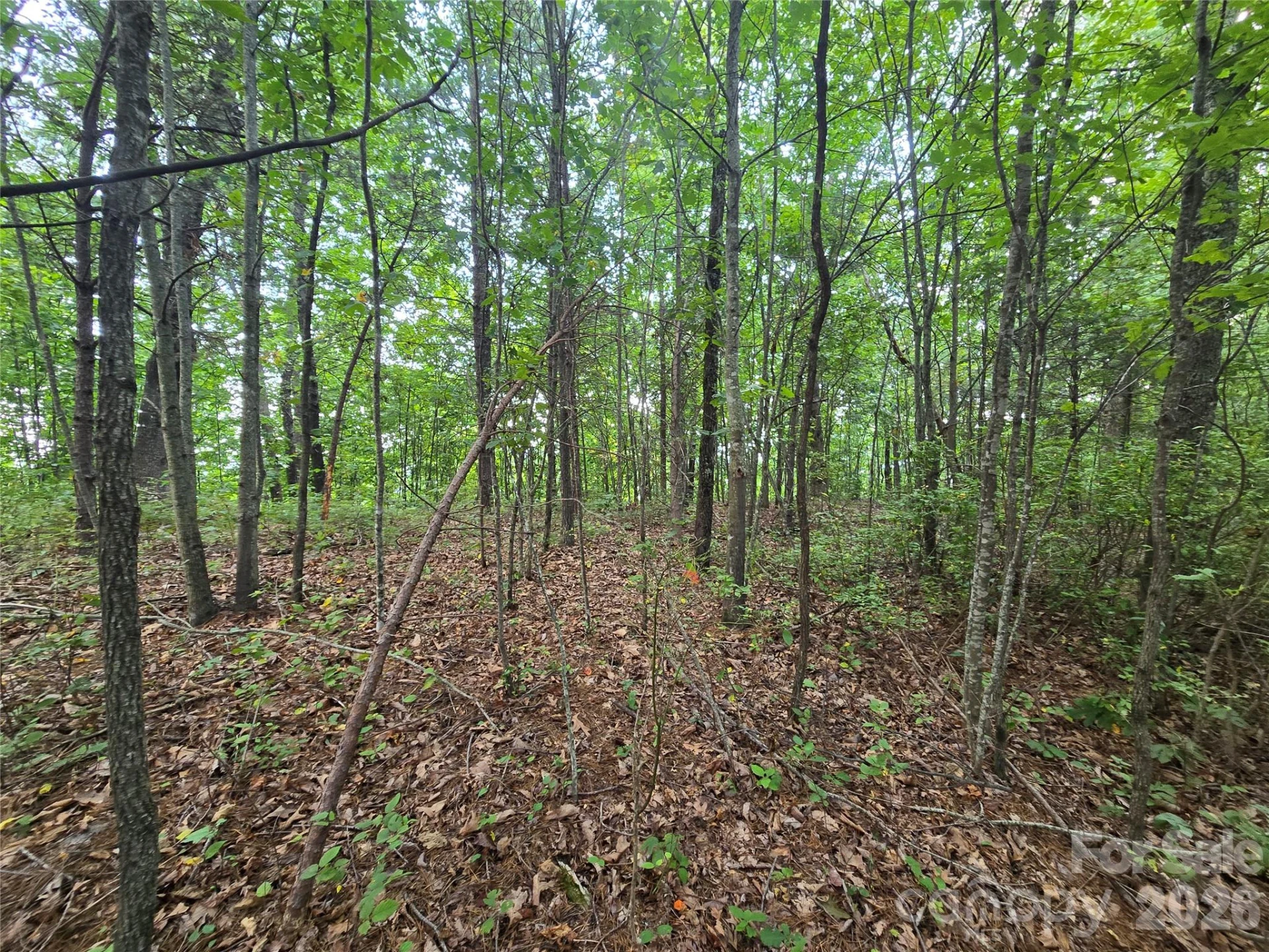 275 Kincaid Place #275 - Photo 7
