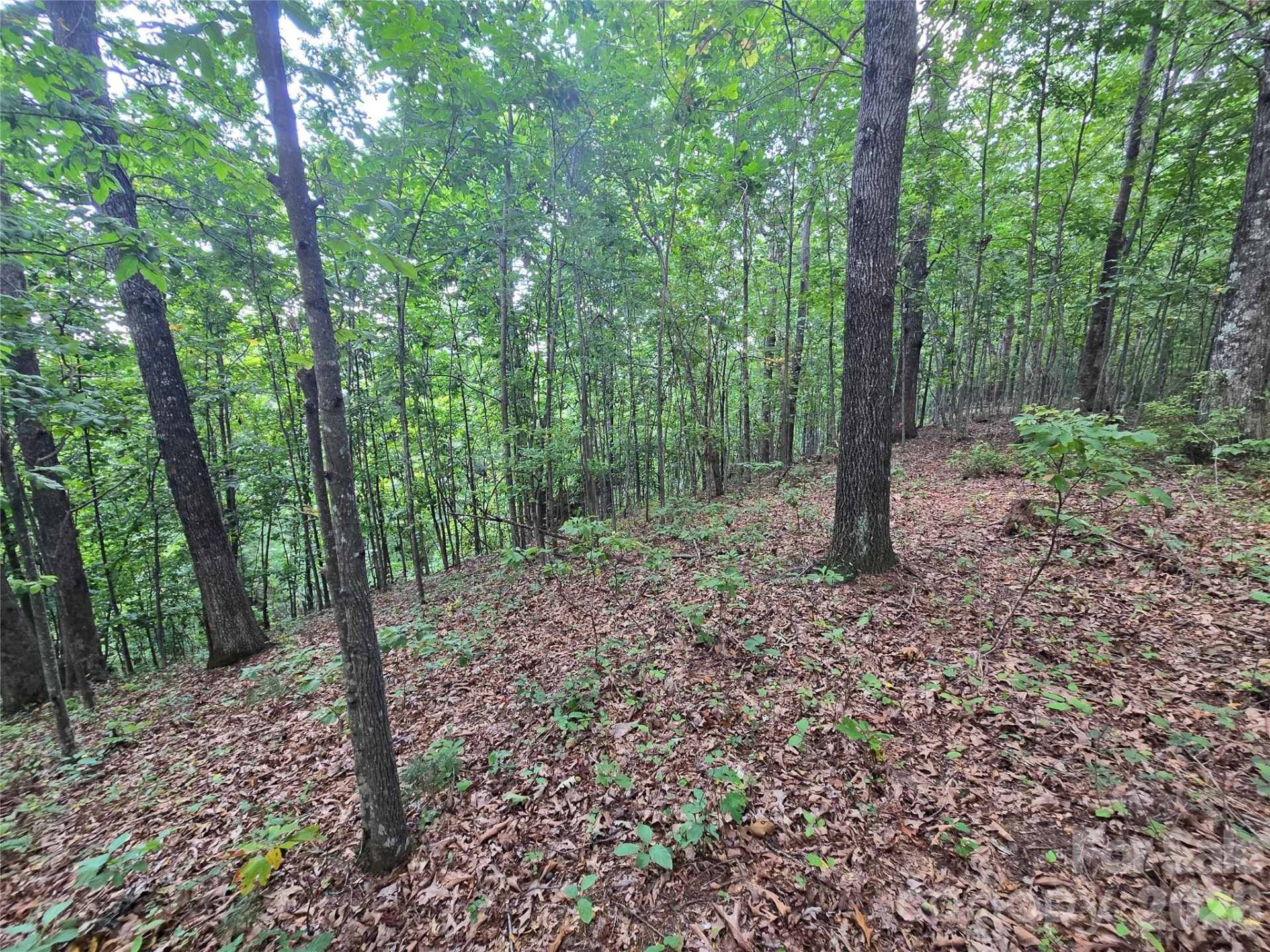 275 Kincaid Place #275 - Photo 8