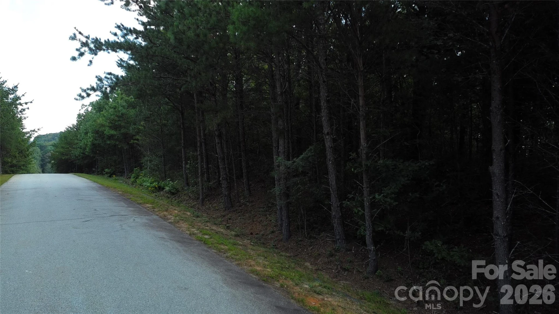 275 Kincaid Place #275 - Photo 9