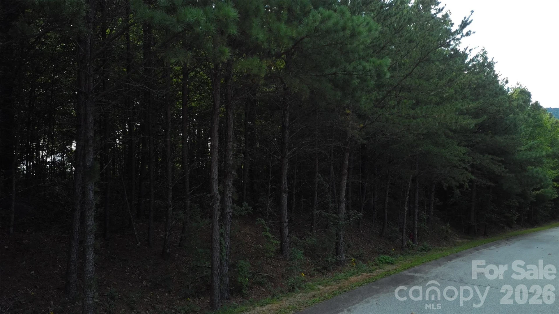 275 Kincaid Place #275 - Photo 10